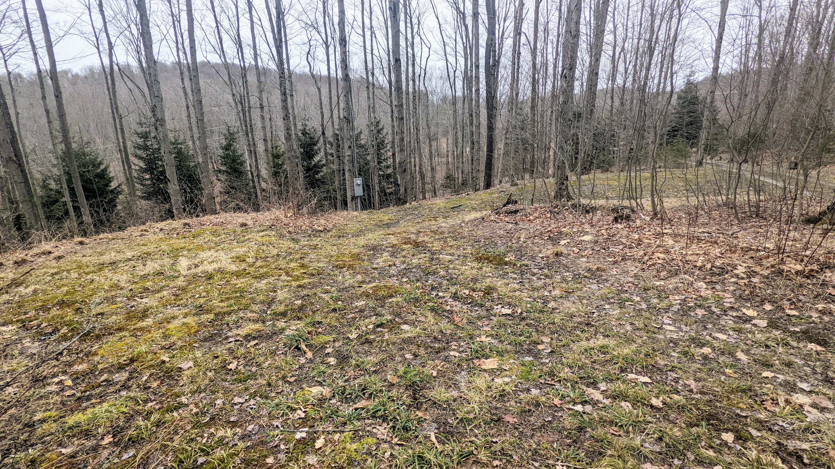 Flat spot for camper or tent