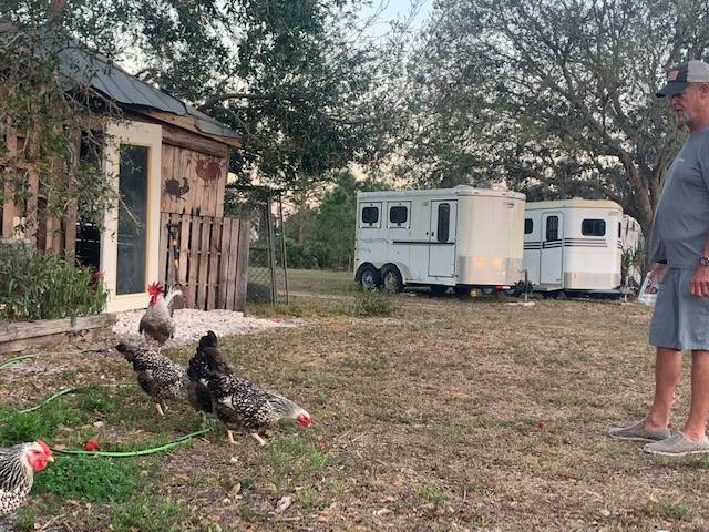Equestrian Retreat