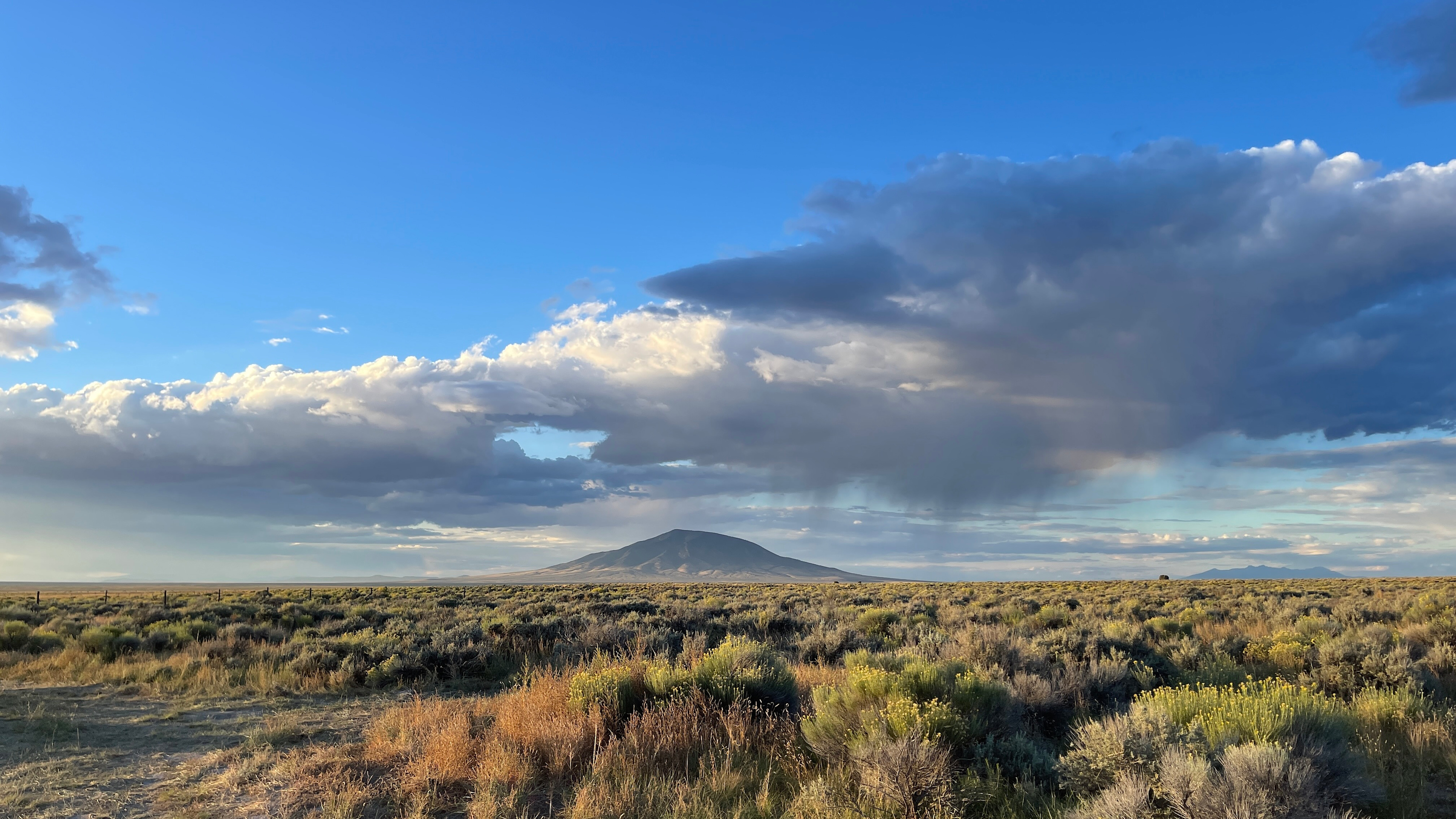 Ute Mnt throwing moods all day