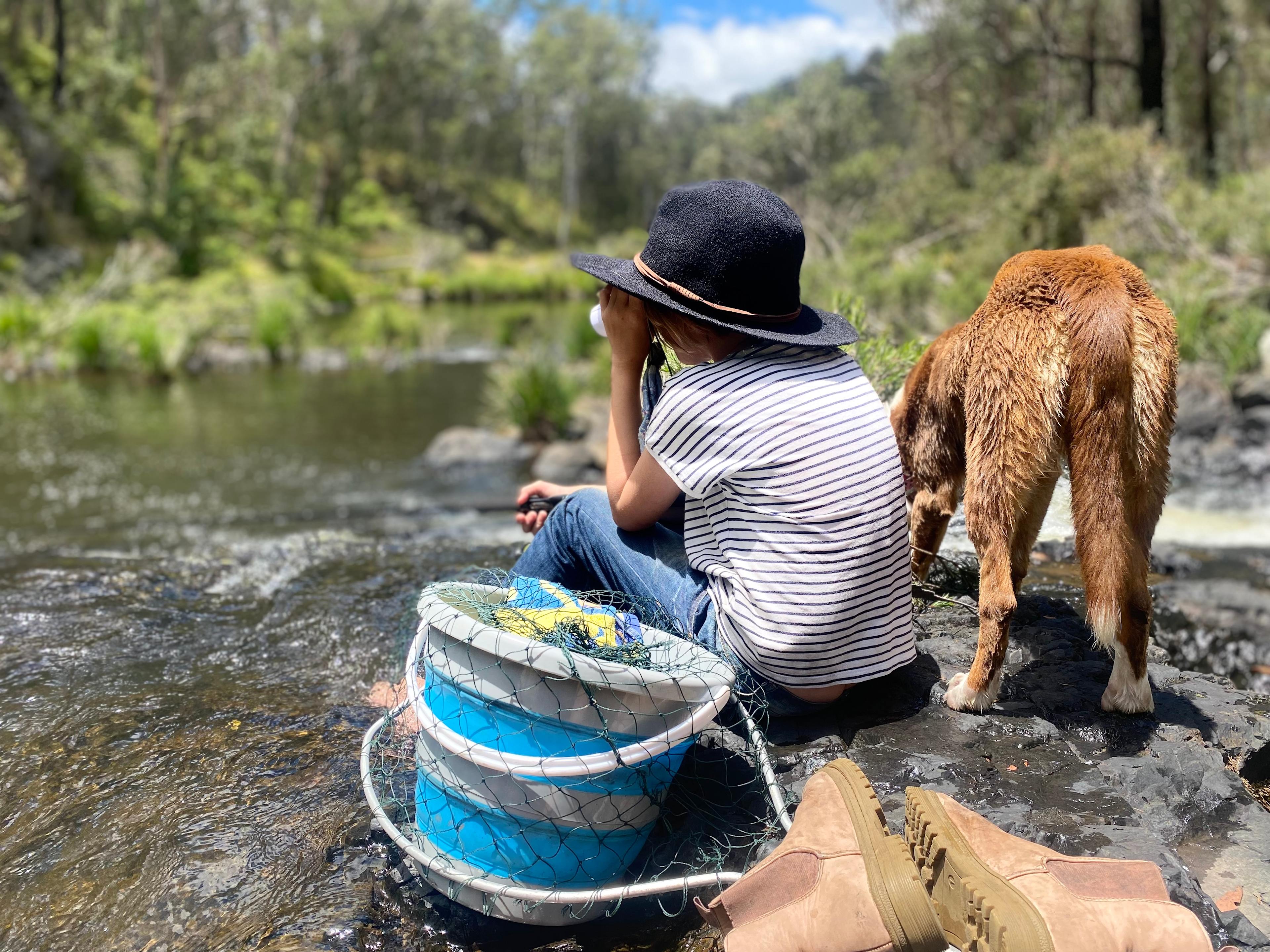 The Hylands Wilderness Retreat