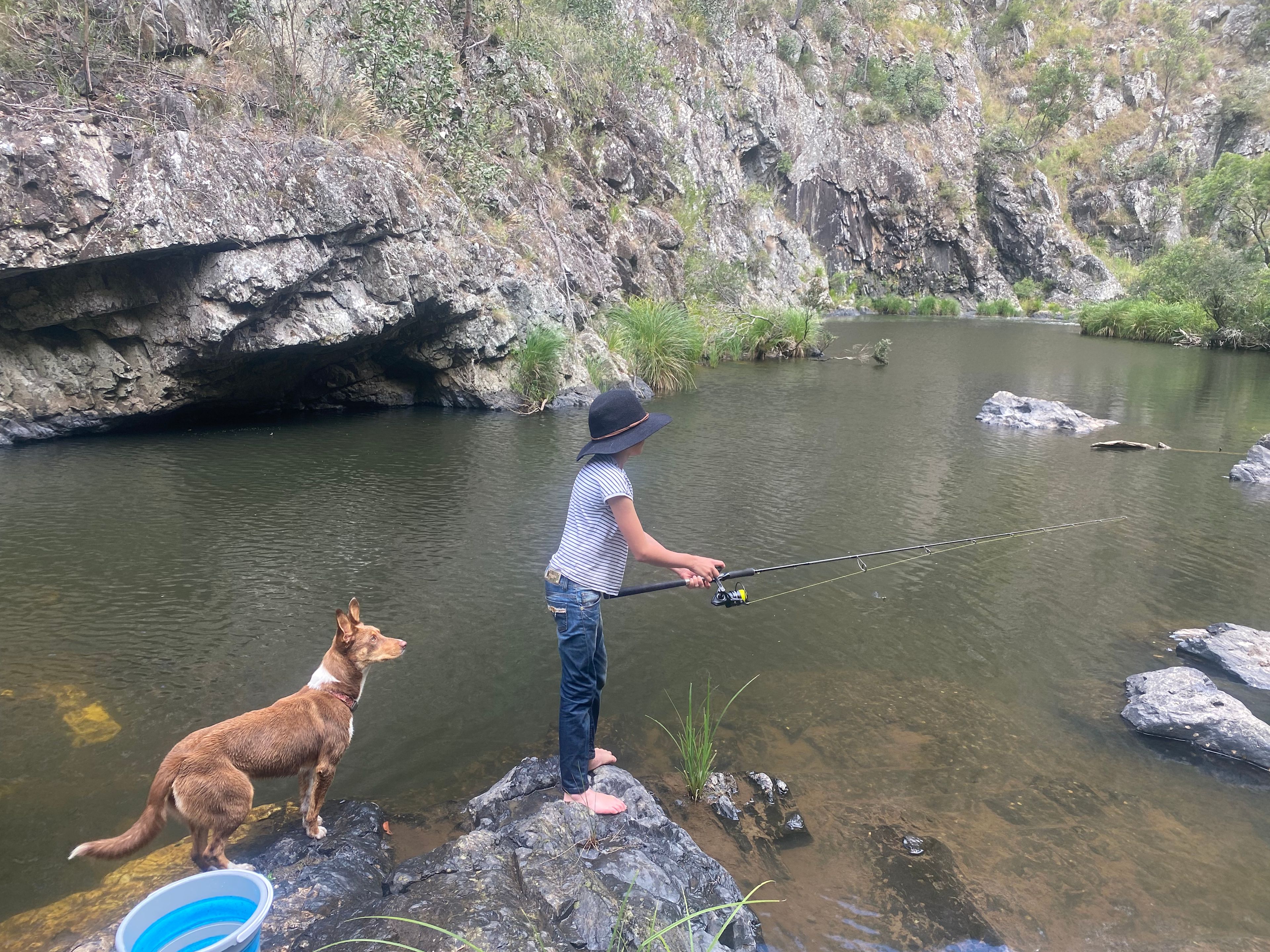 The Hylands Wilderness Retreat