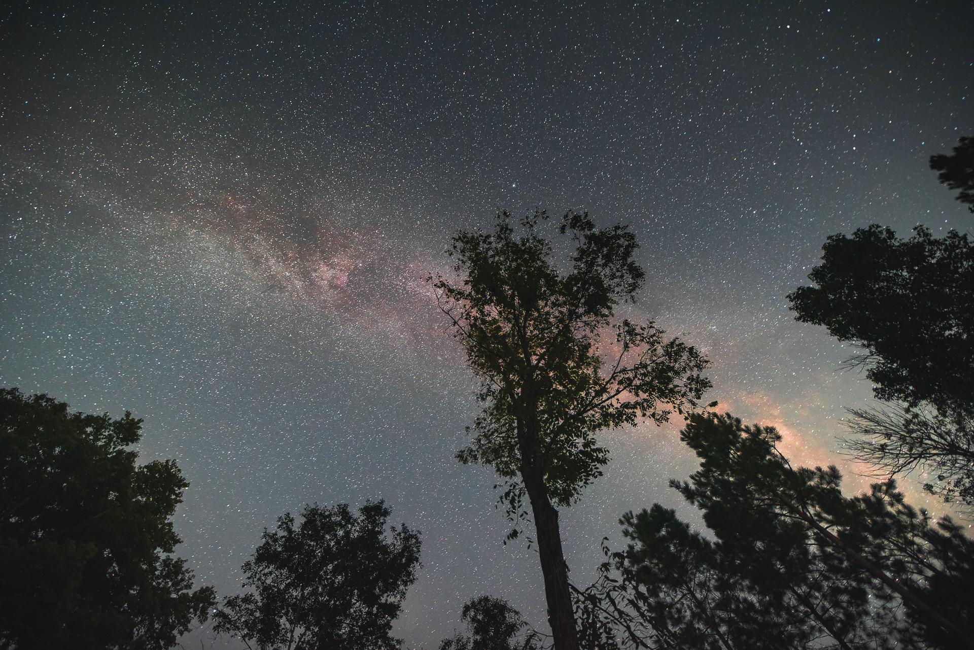 The night sky from the site!