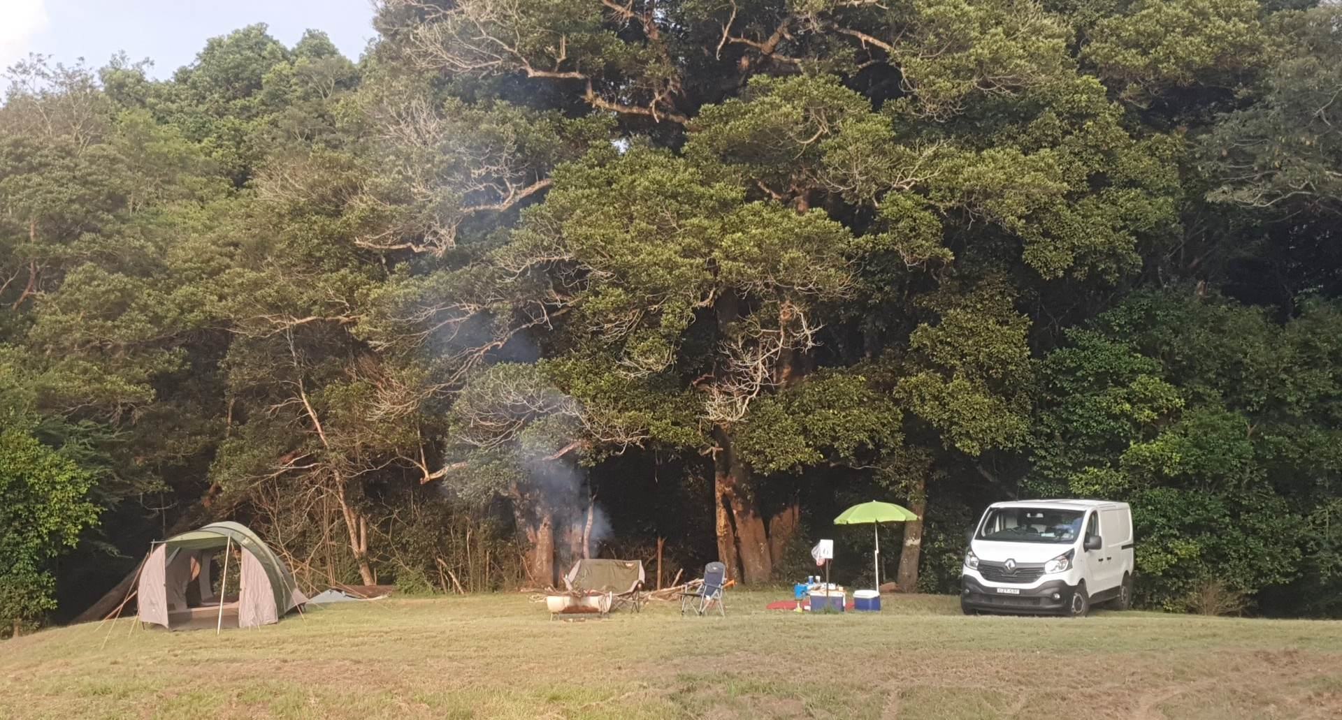 Our site. The creek is just a few meters behind our tent.