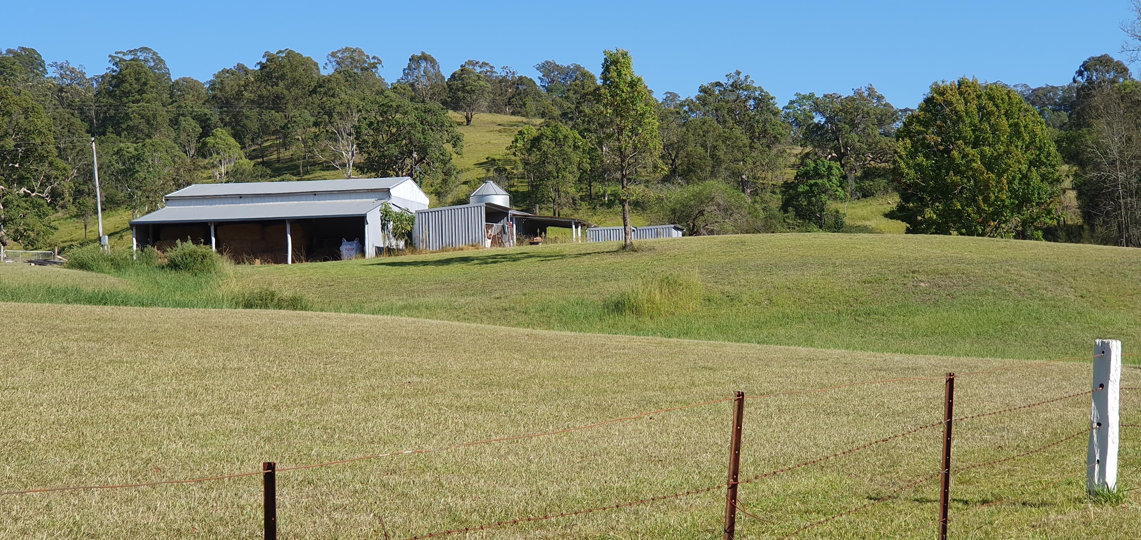 Altamira Along Bakers Creek