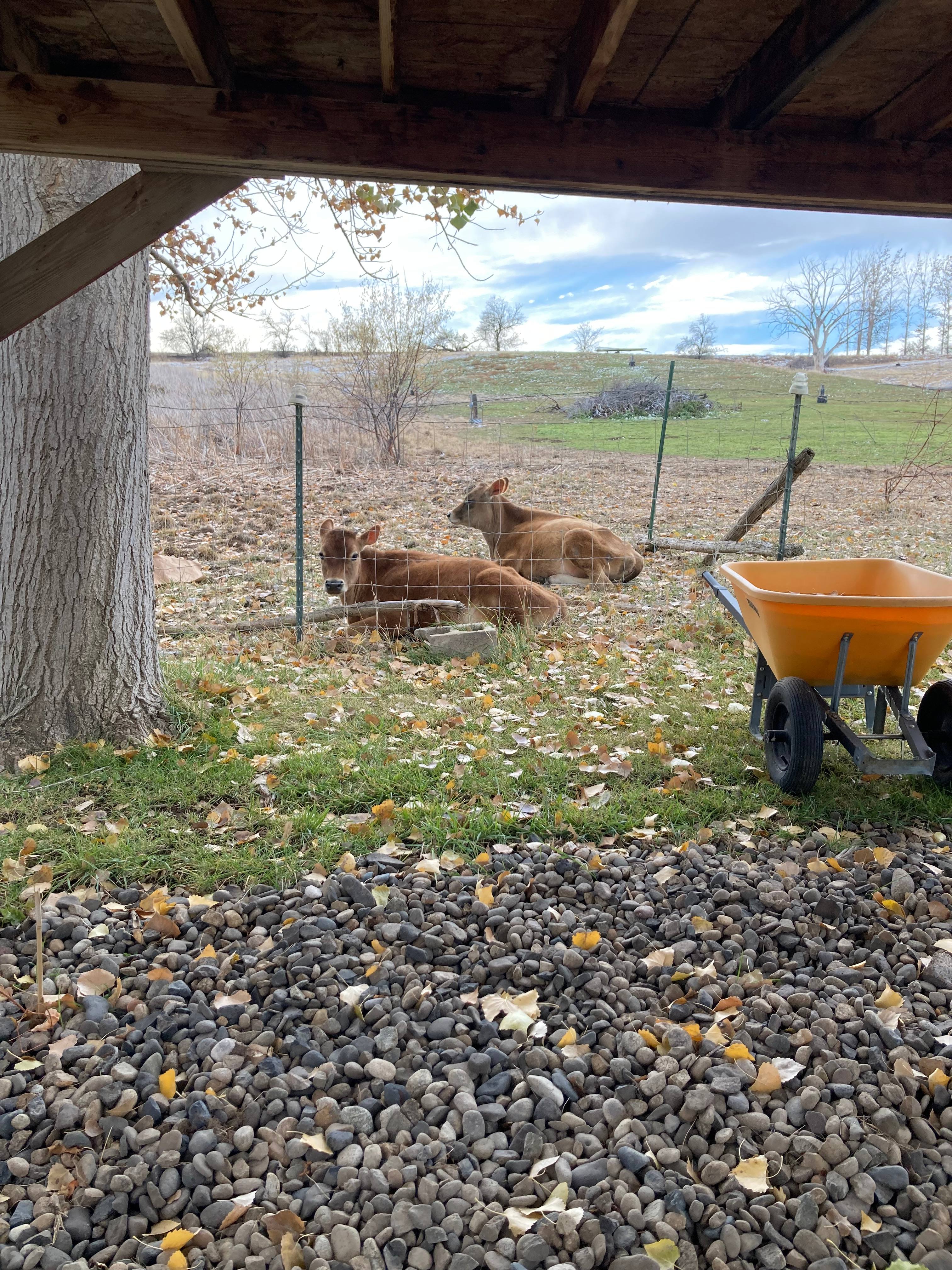 Micone Ranch