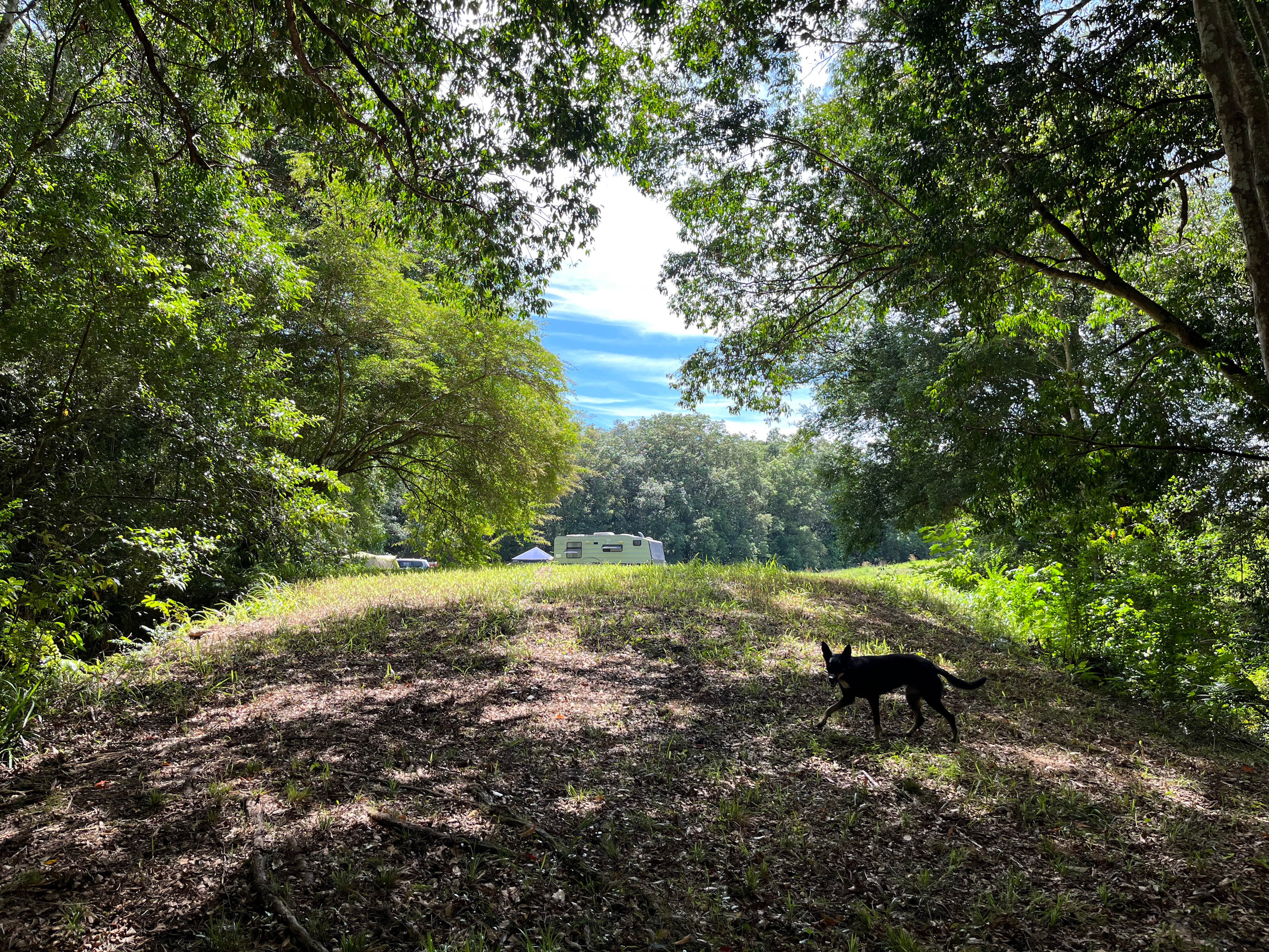Looking back from the creek 
