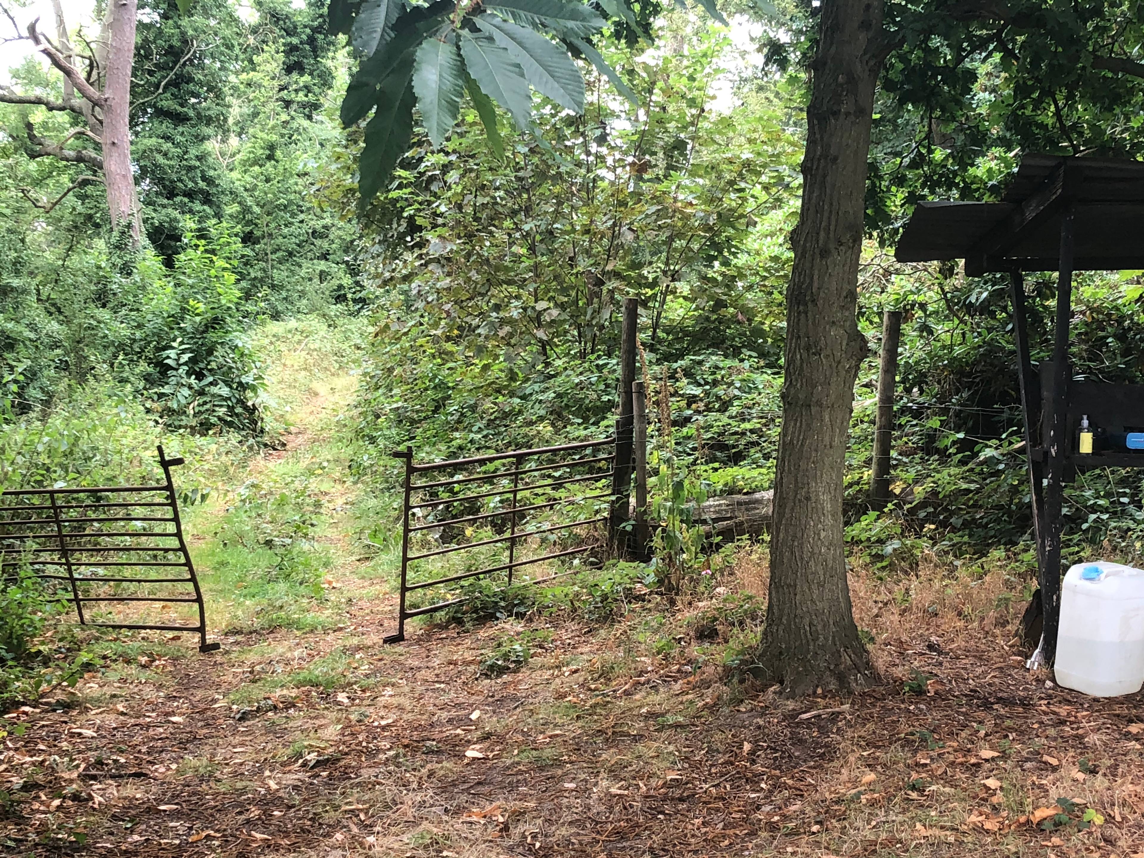 Larch’s Hideaway Hut