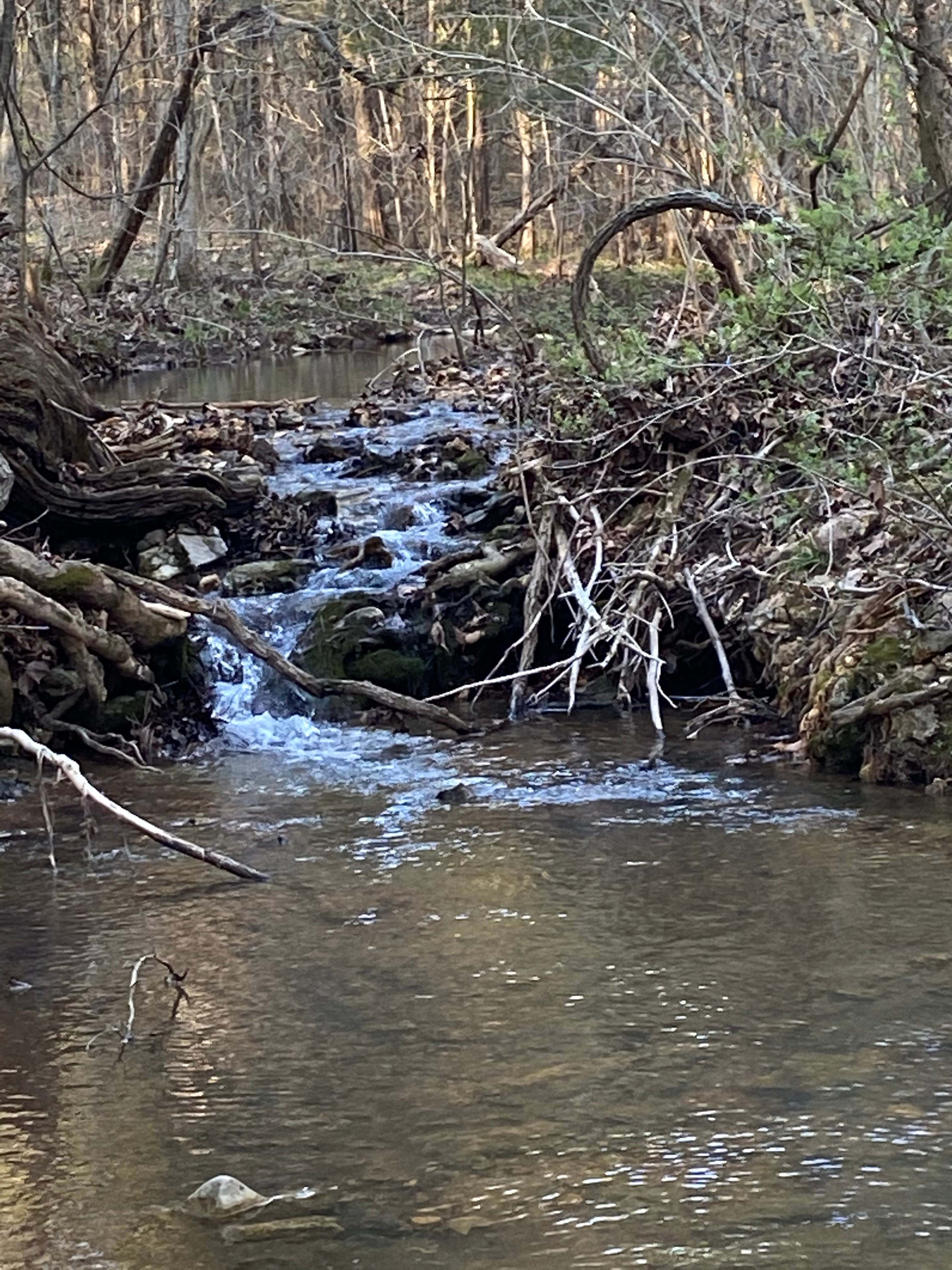 Water from our springs