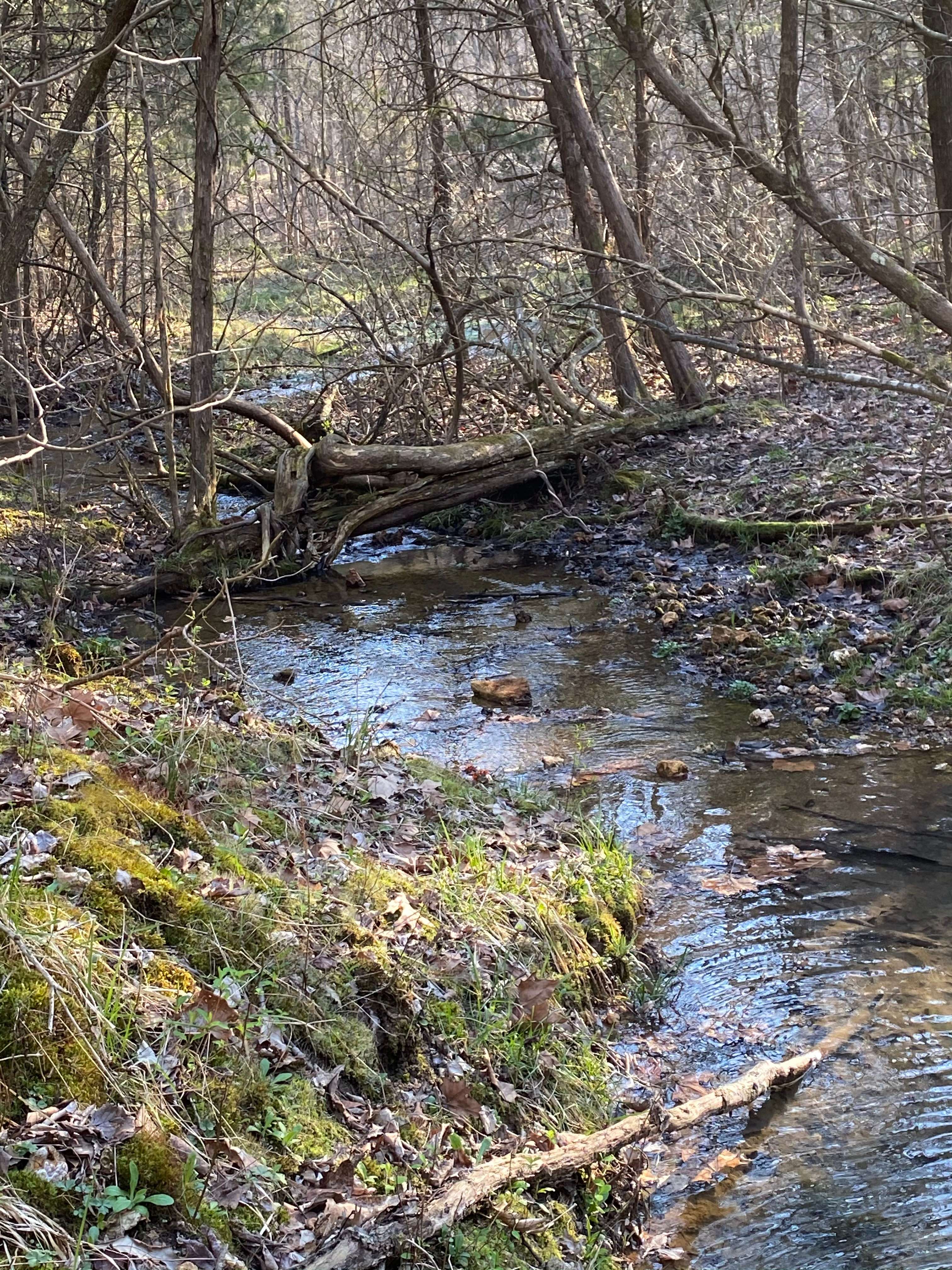 Hawks Bluff Farm Campground
