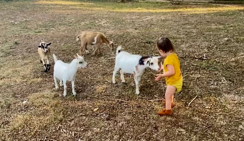 Angel checking out the little one.