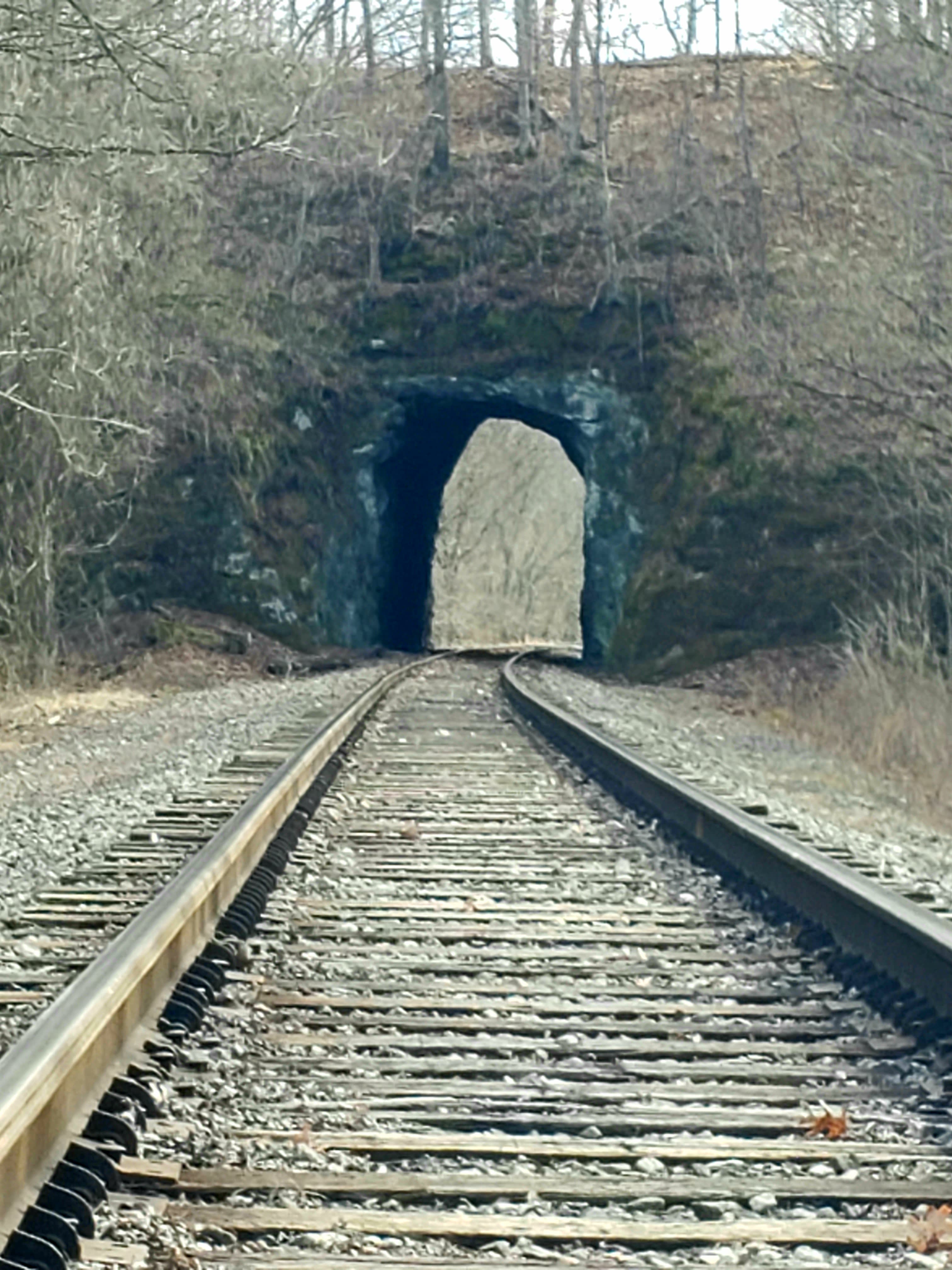 Dexter Run Farms and Lodging