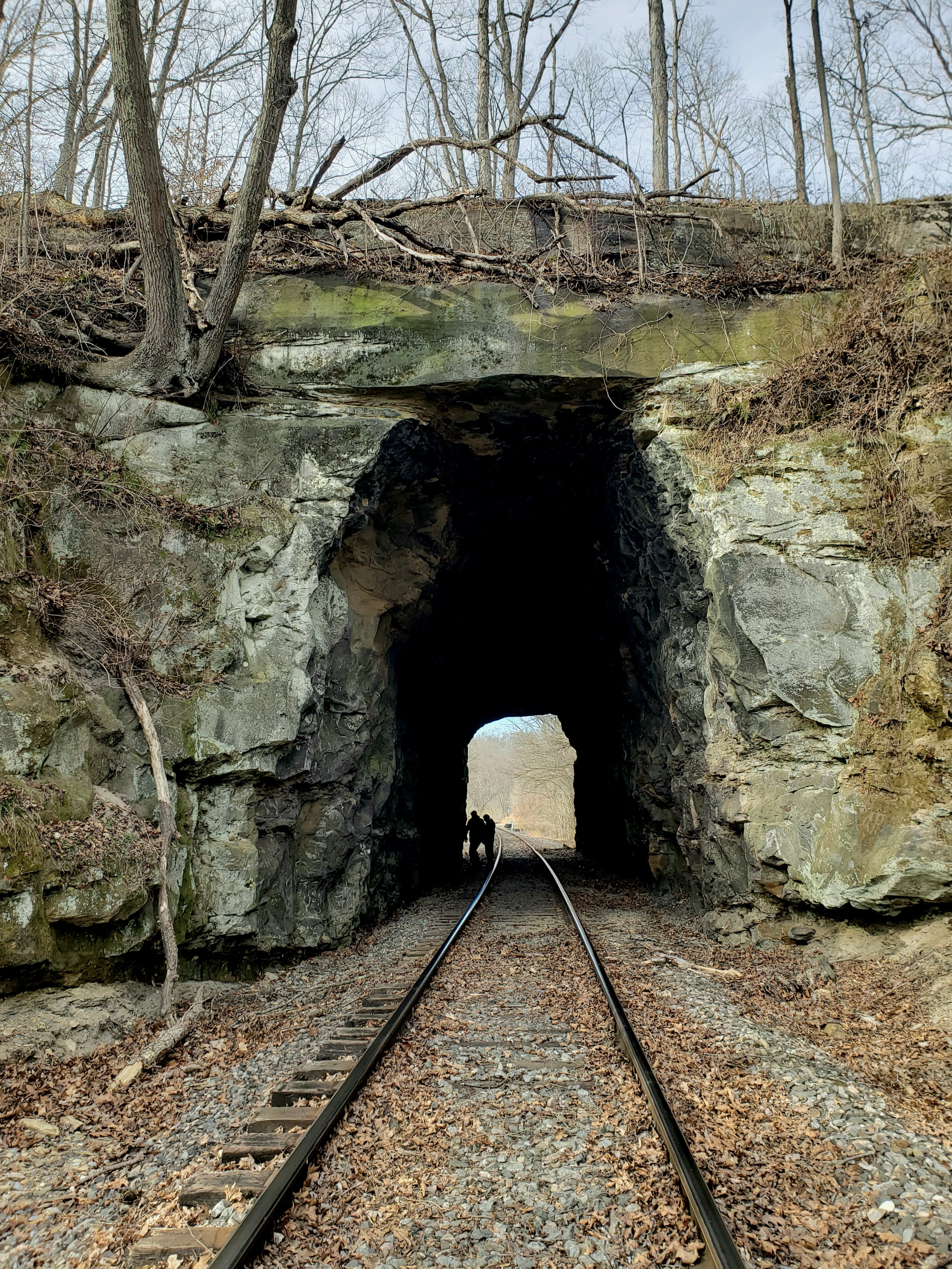 Historic Railroad tunnel that is on our farm.