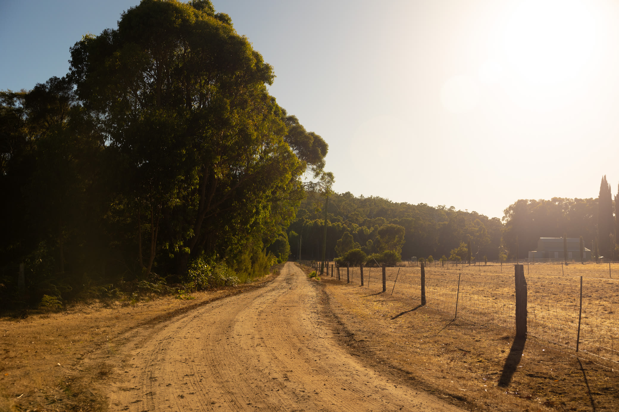 Stargazers Forest Hideaway