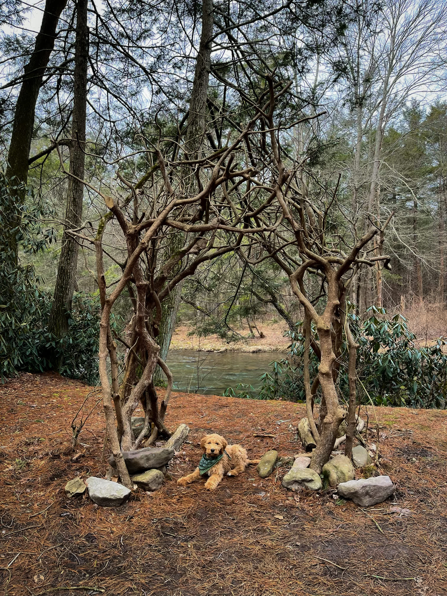 River Mountain Outdoors