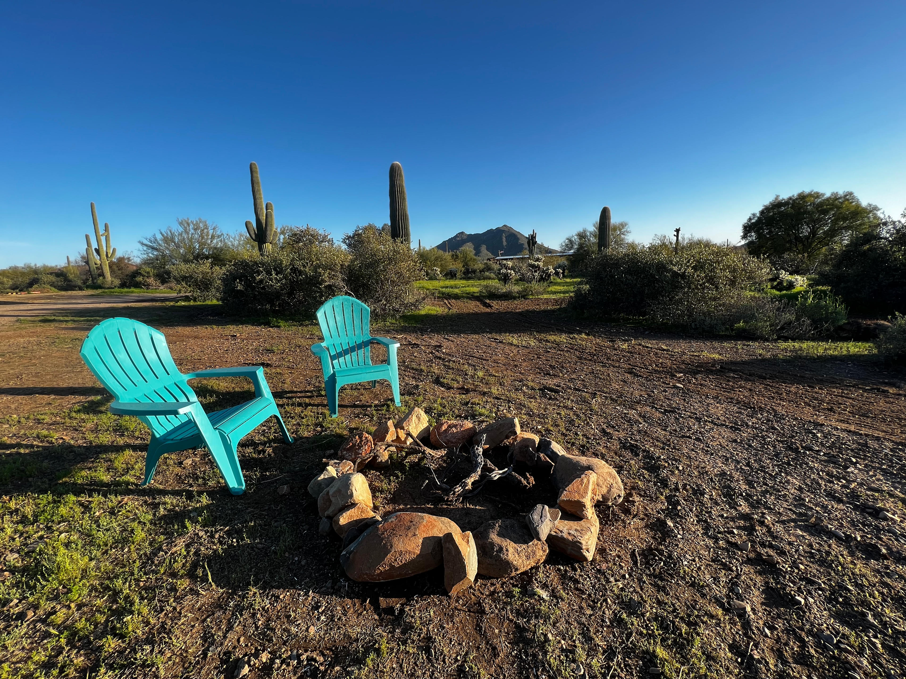 Please note that it is not always this green! We had lots of winter rain. 