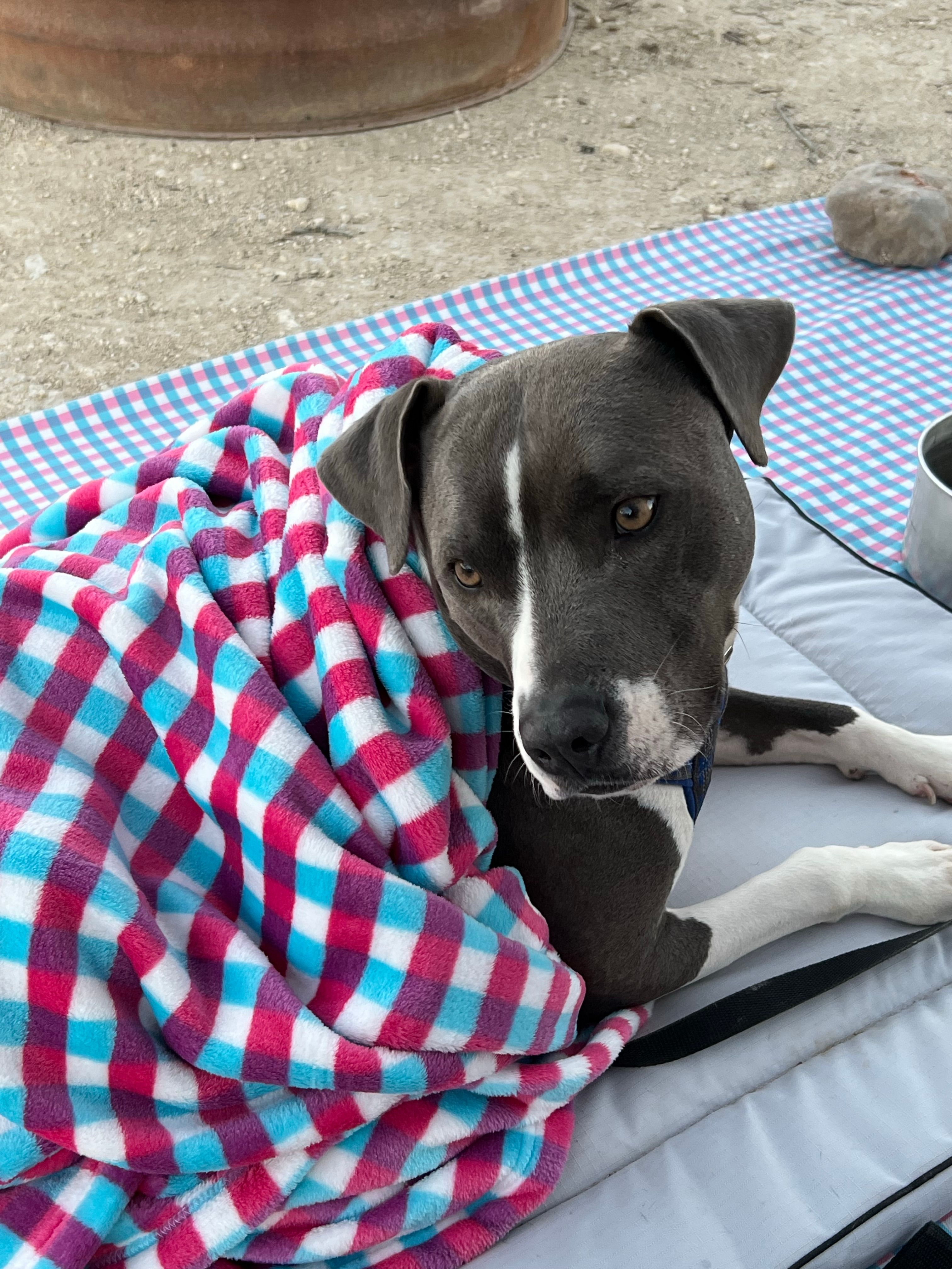 Lunar eclipse views! Family farm