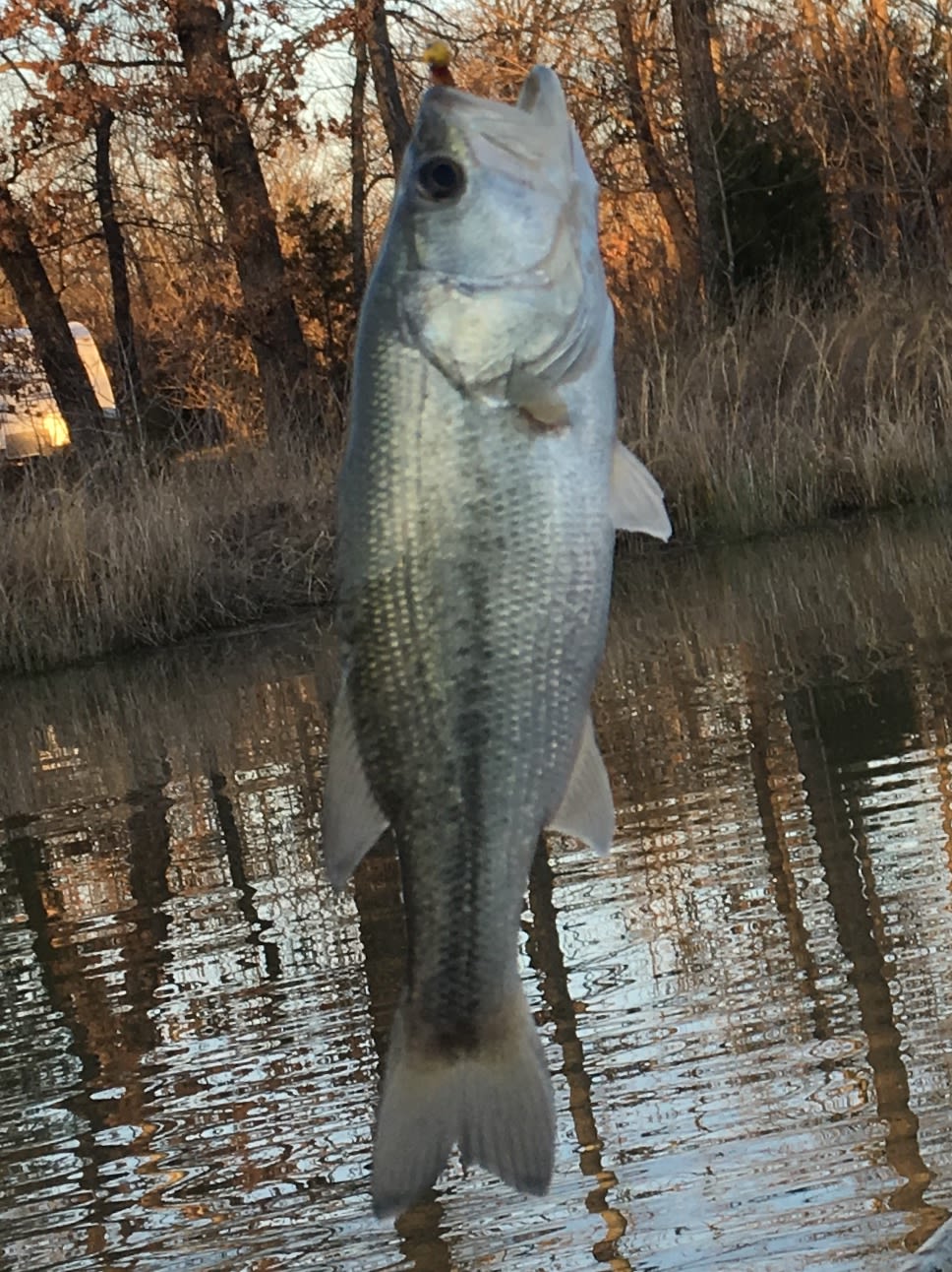 Her successful catch, 1 of six that day