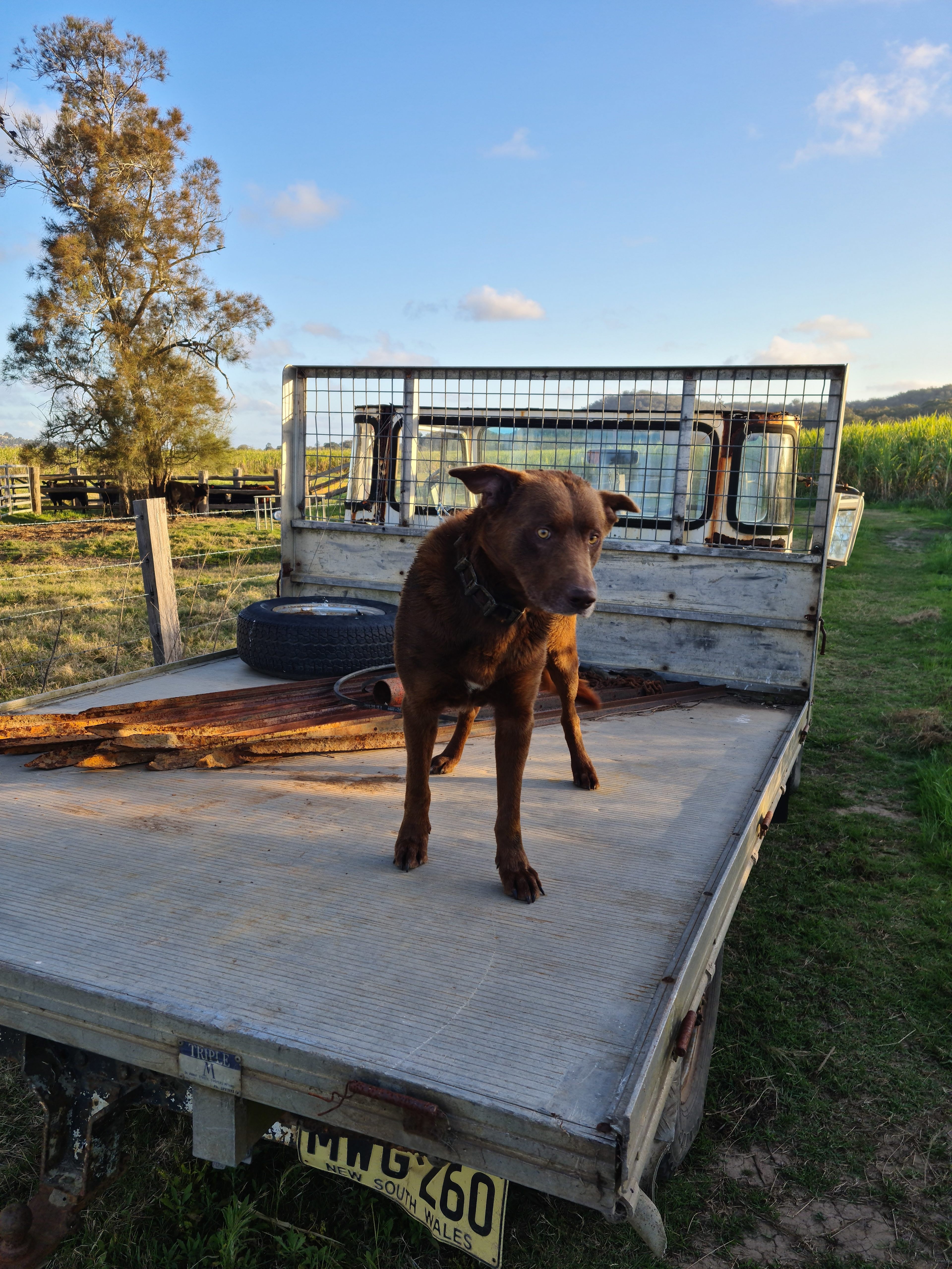 River Views - Island Paradise