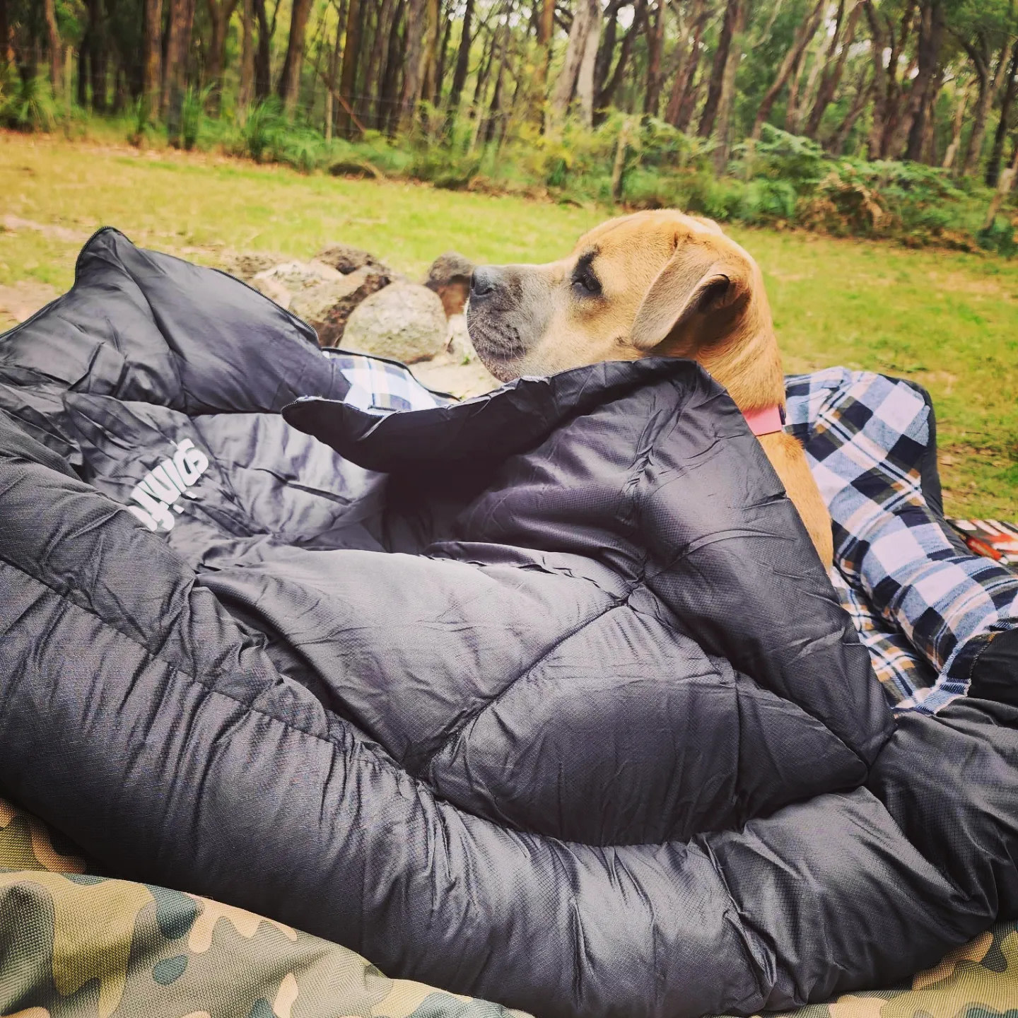 The Boho Bush Caravan