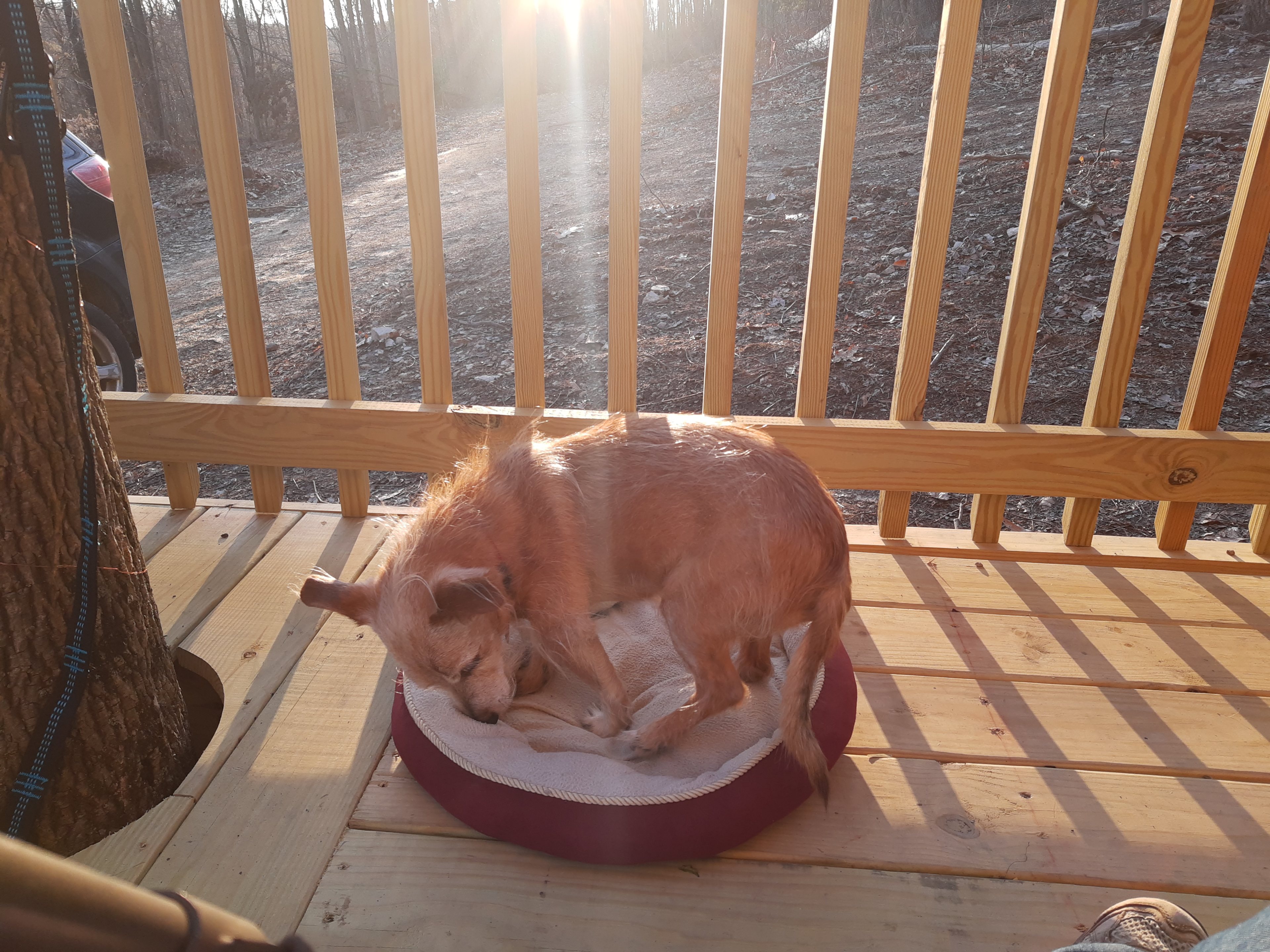 nice wrap around porch, keeping the tree in its place!