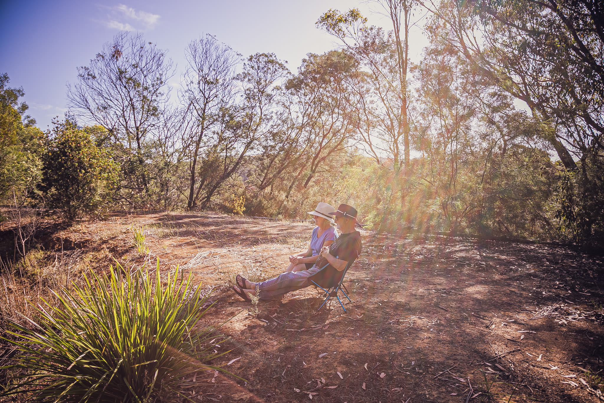 Relaxing by the lily pond