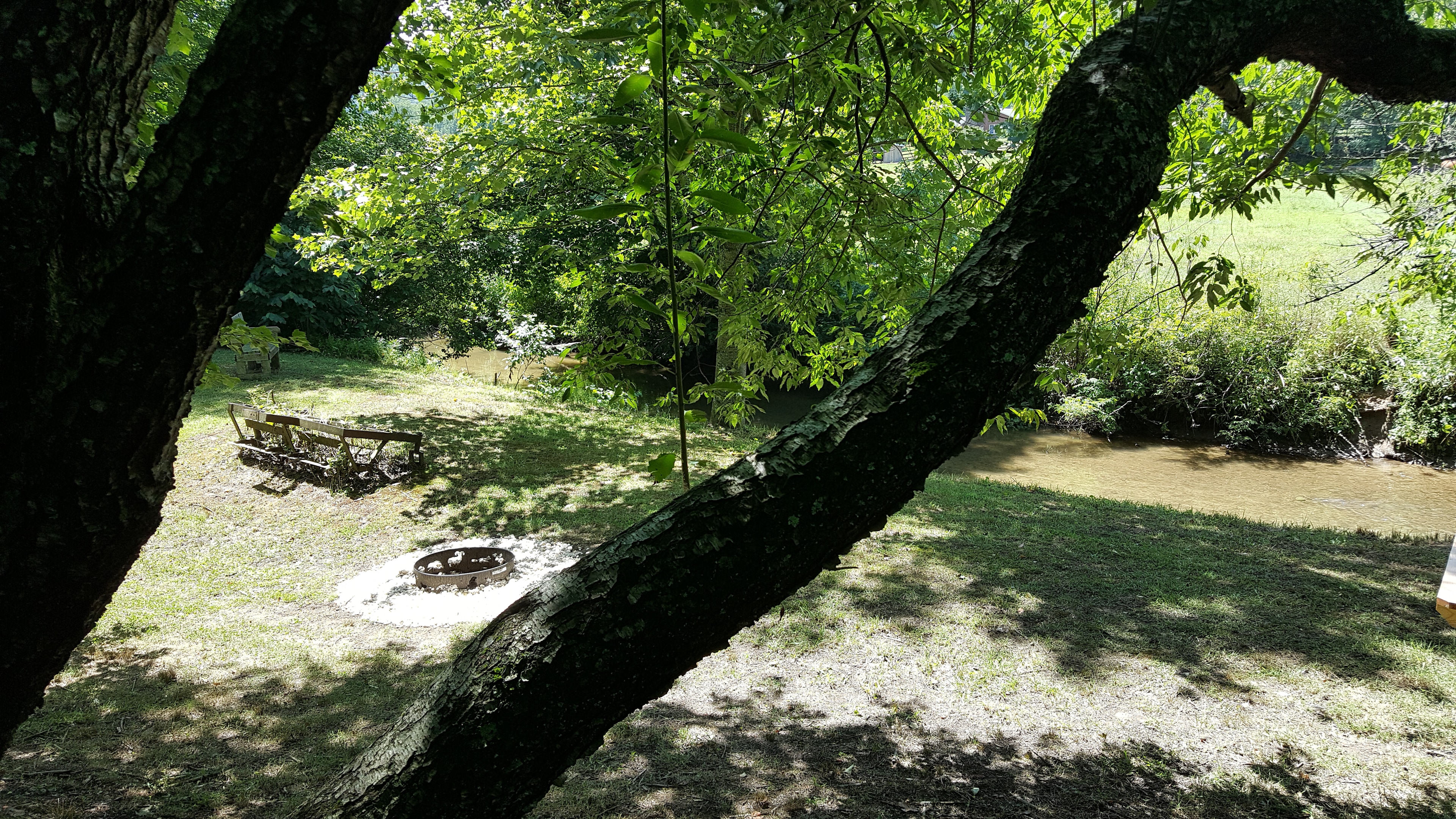 Back Yard Campground