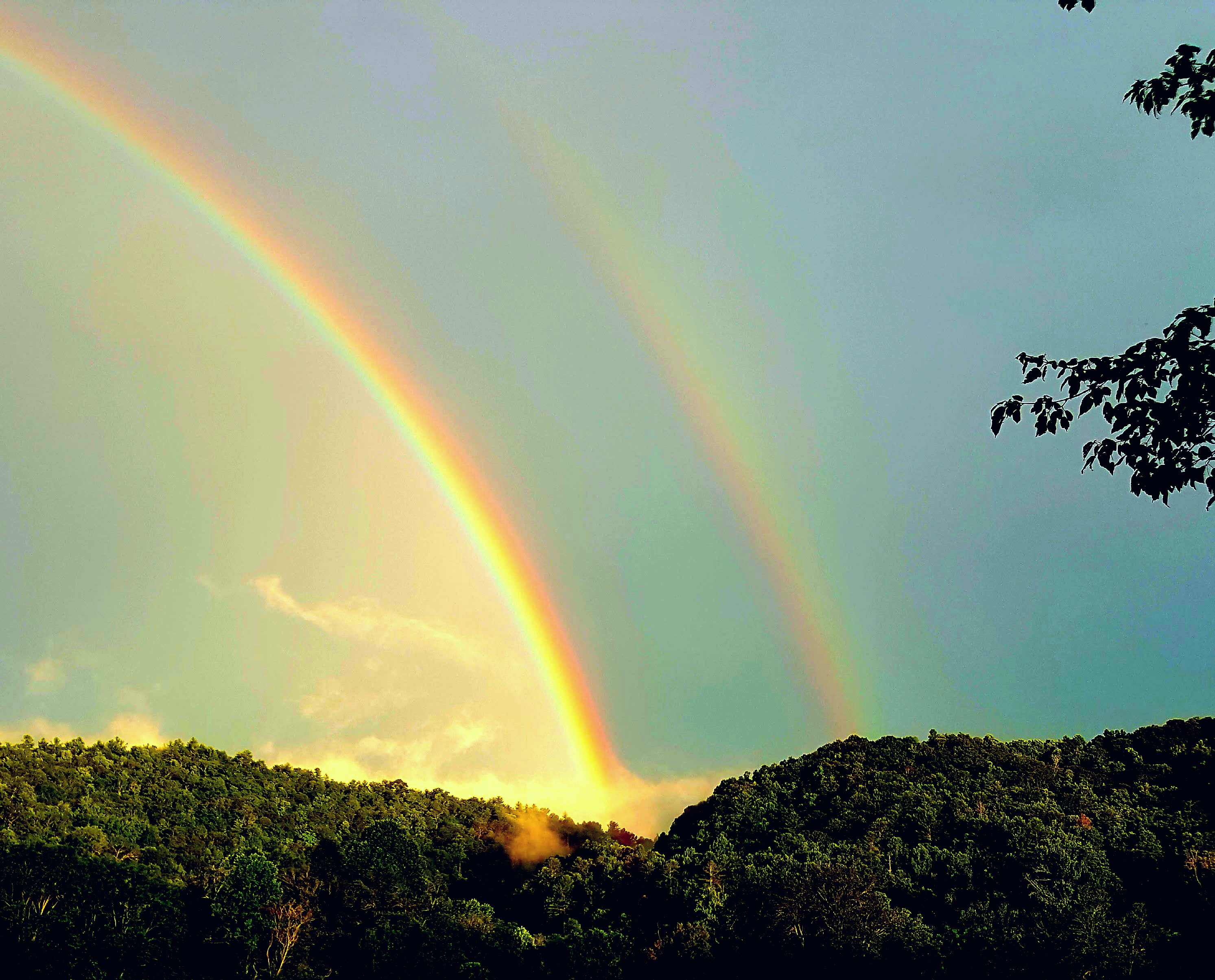 Back Yard Campground