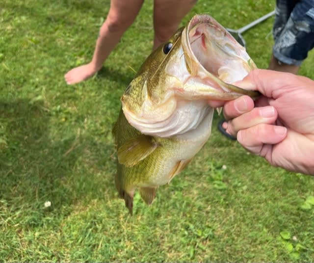 Lots of fish to be caught