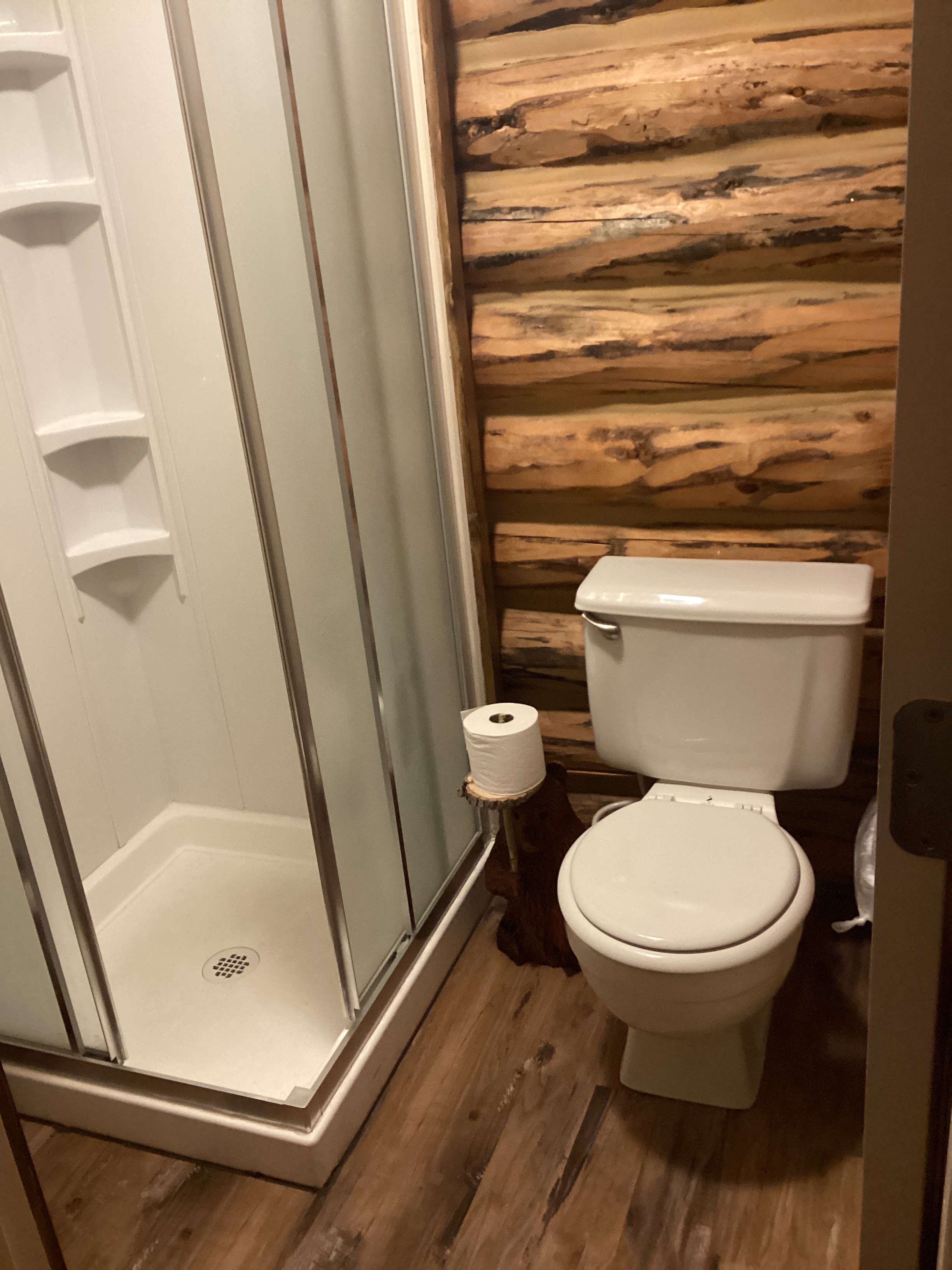 Full bathroom with shower