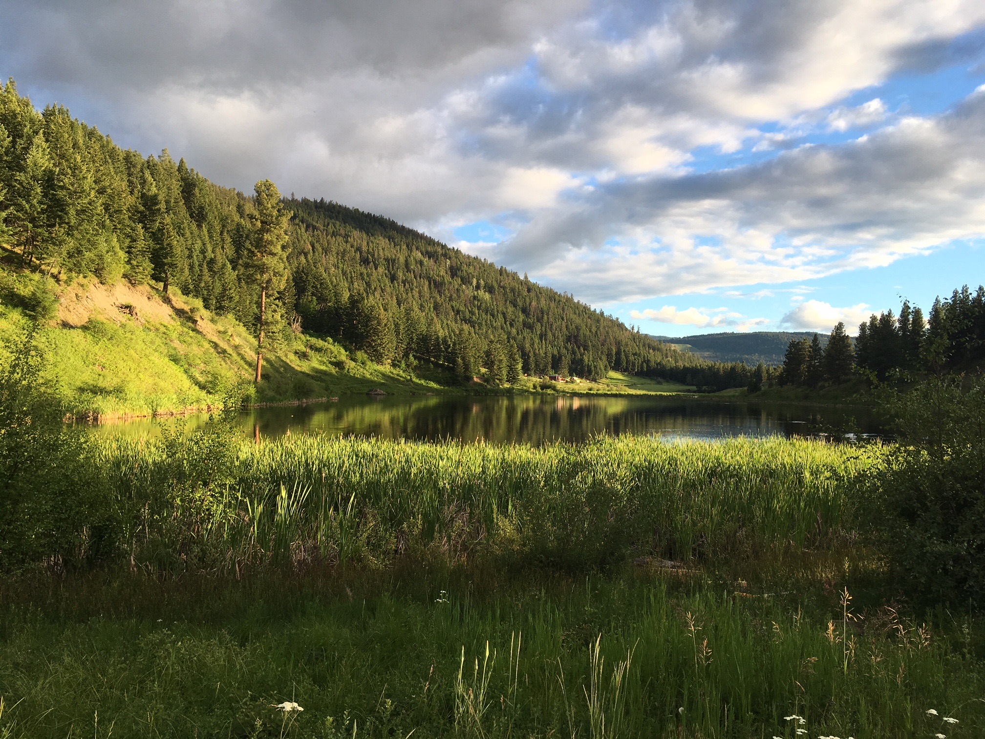 Lots of great hiking on old forestry skid trails surrounding the lake