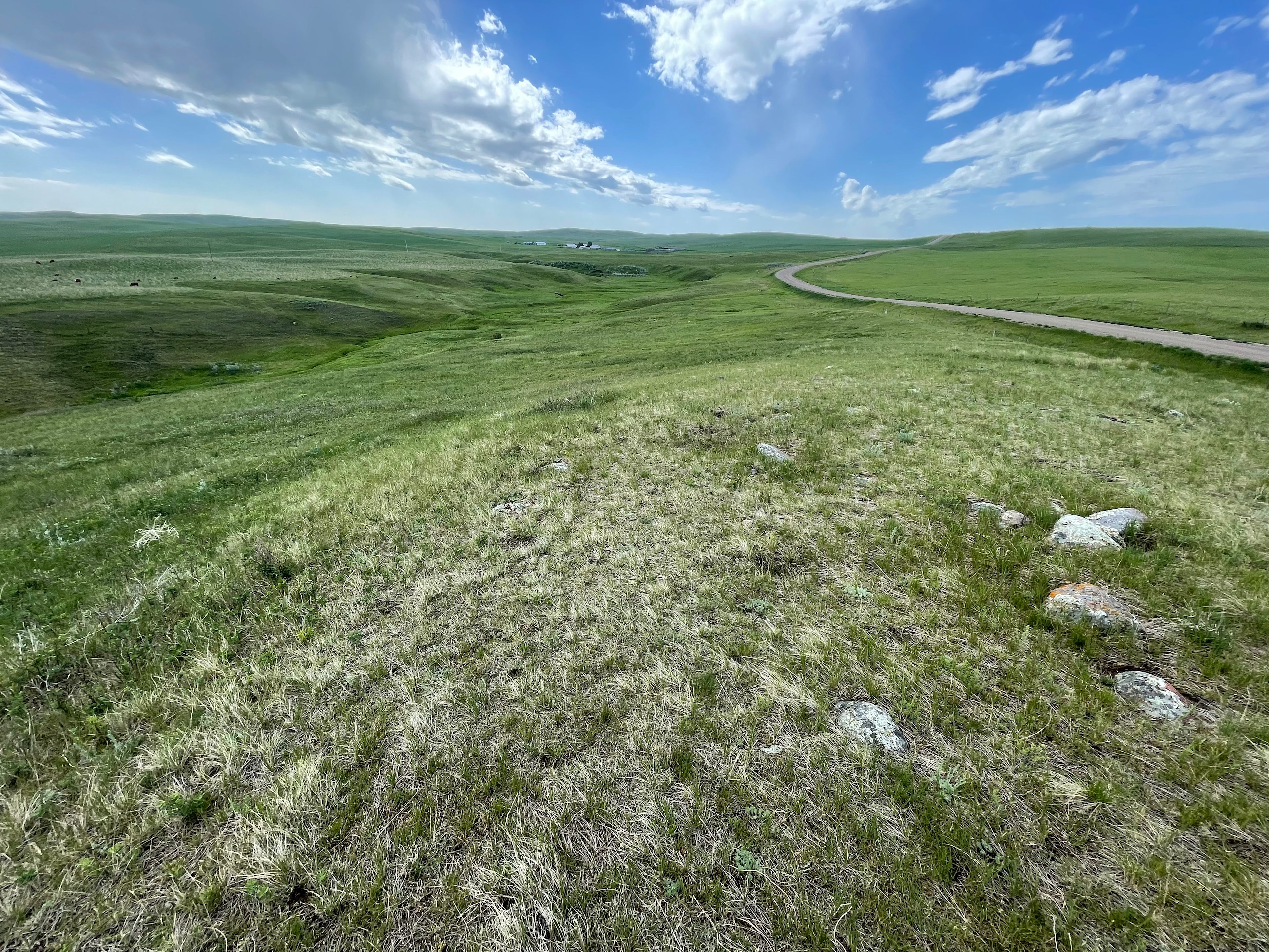 Coulee Creek