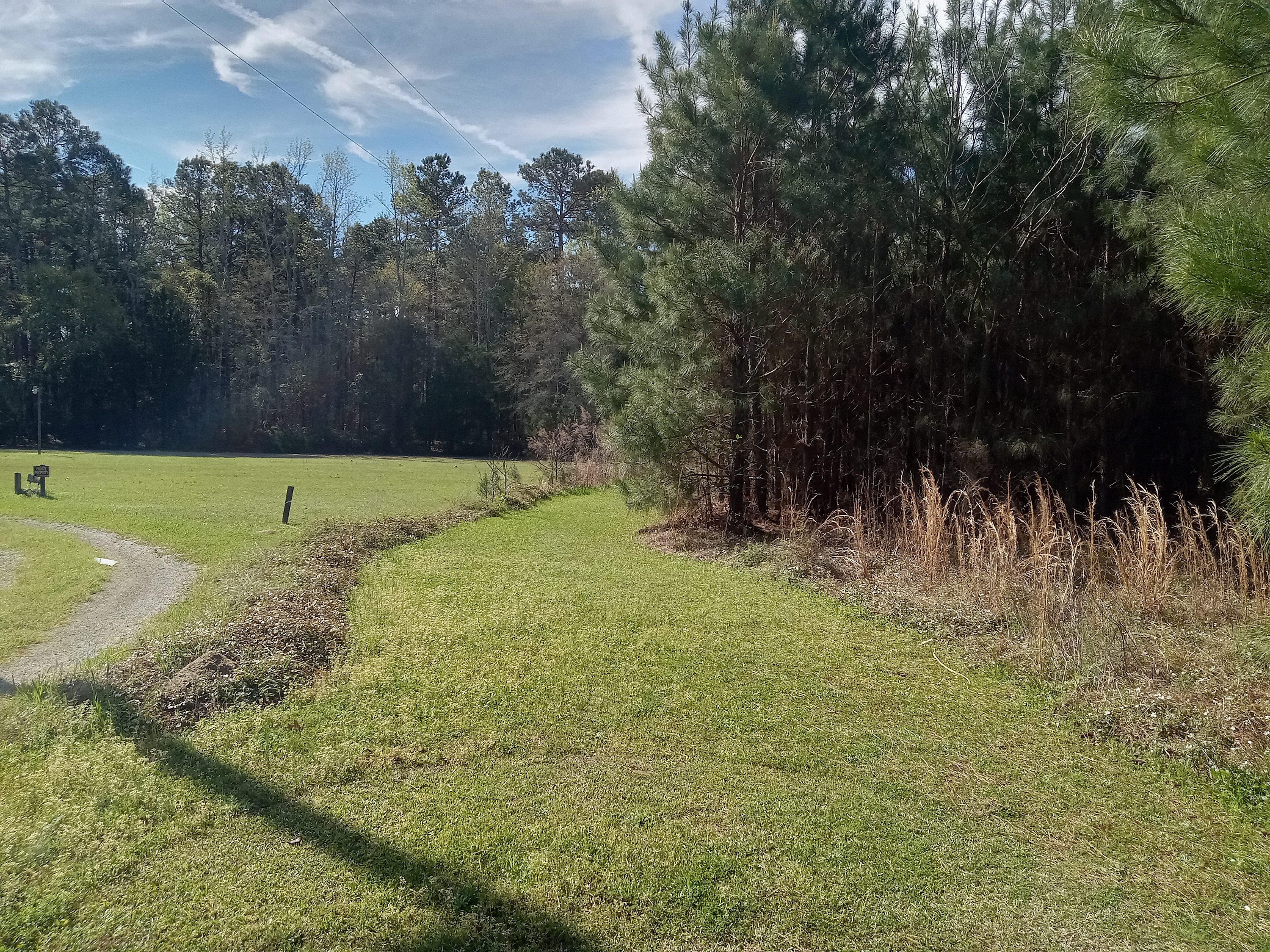 Rustic Natural Campsite