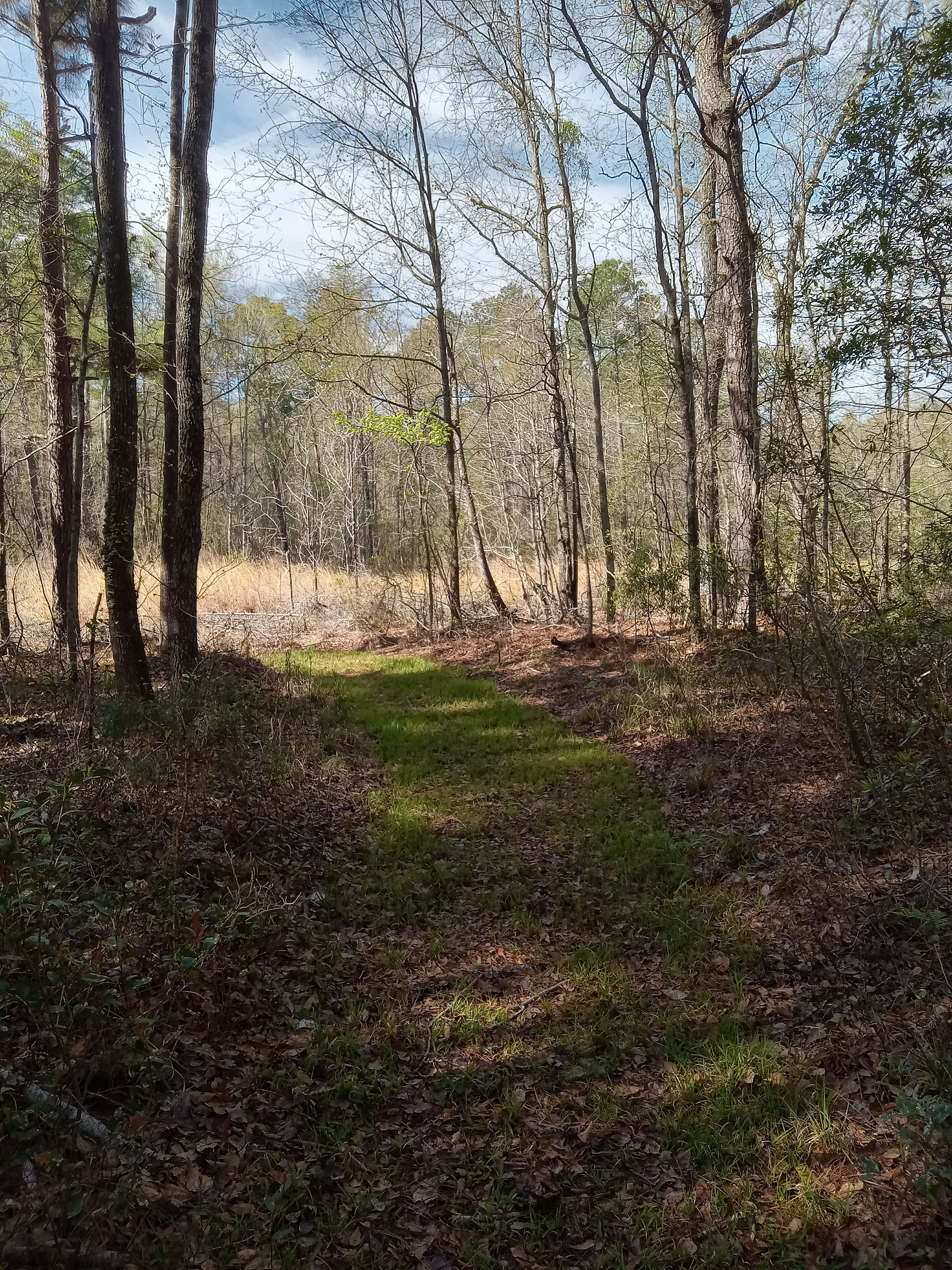 Rustic Natural Campsite