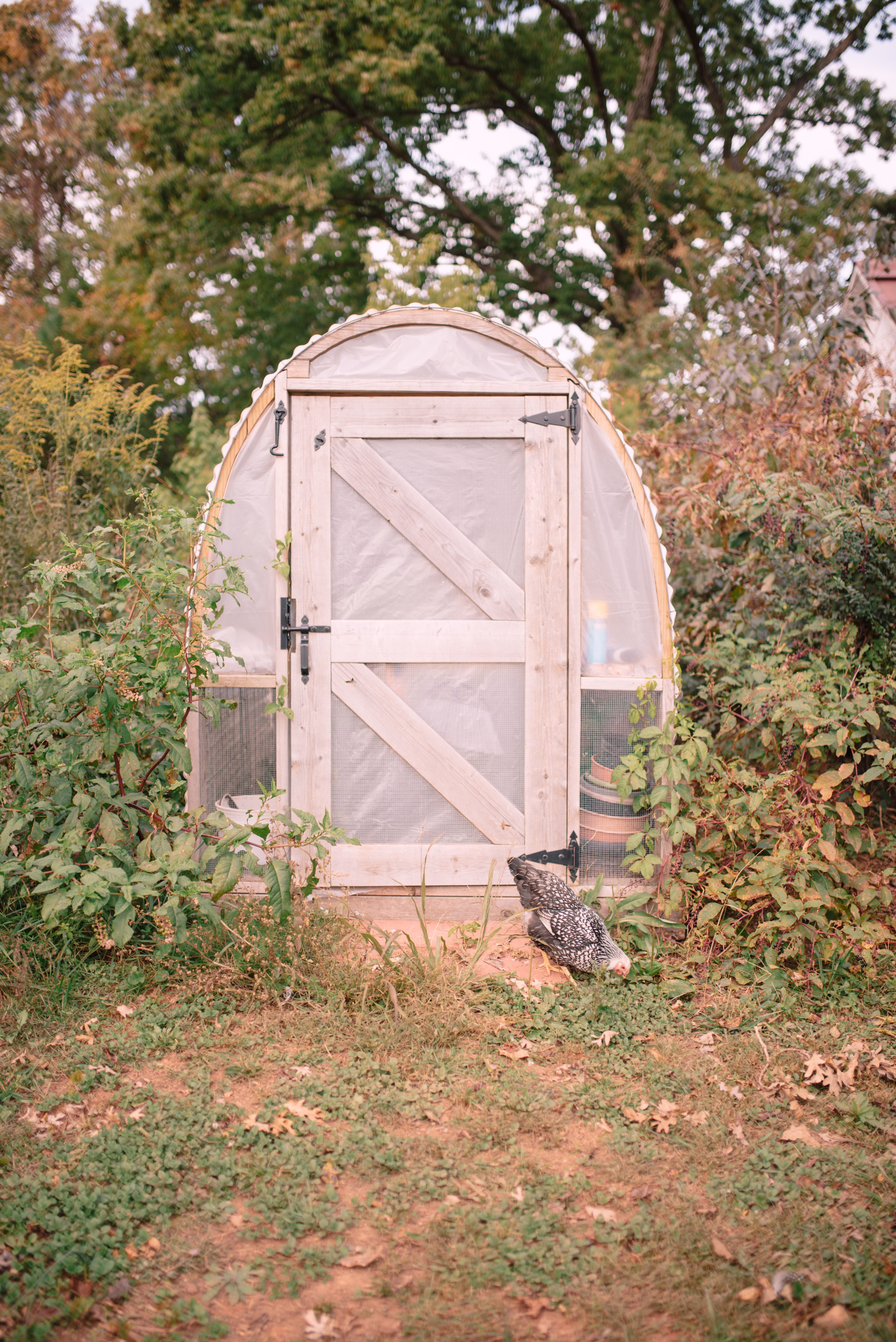 Greenhouse 