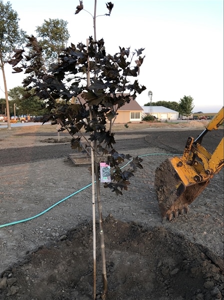 Cuzn Eddyz Campground