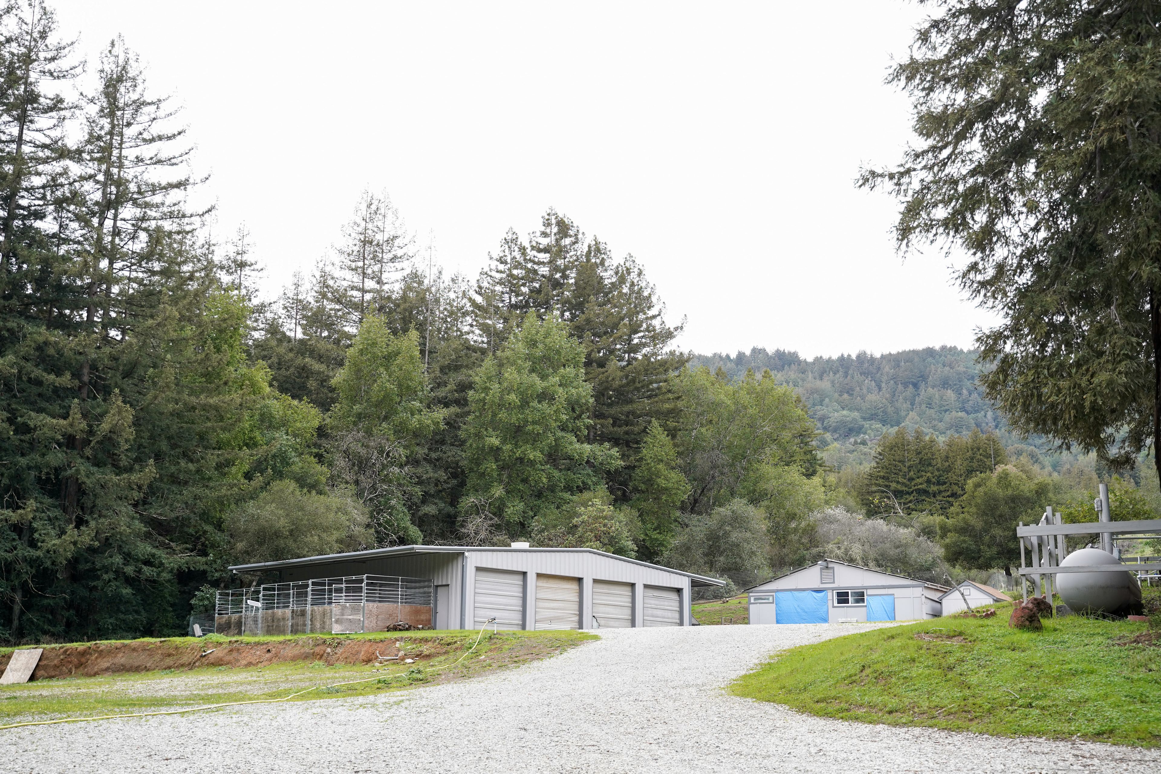Redwood Ranch with Sweeping View