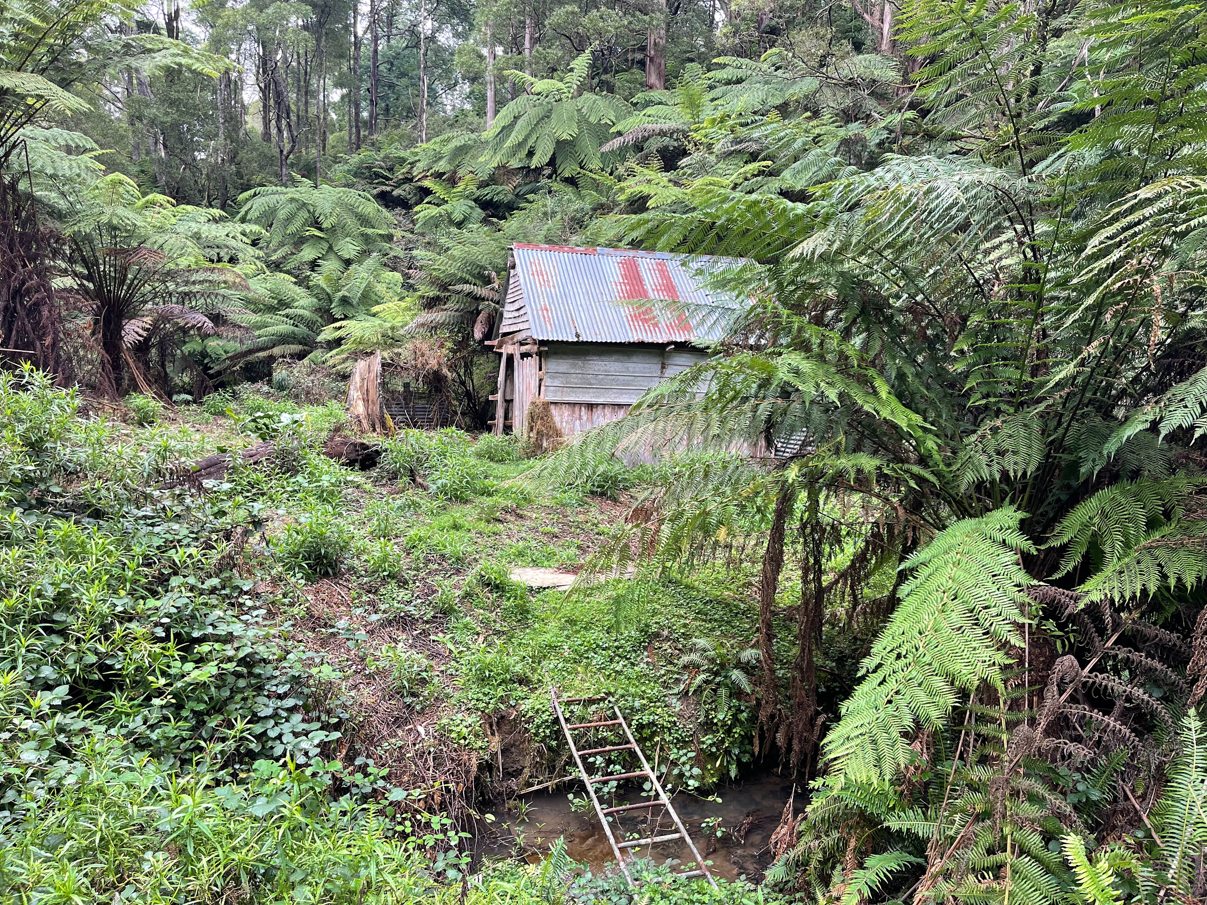 Mountain Life Retreat