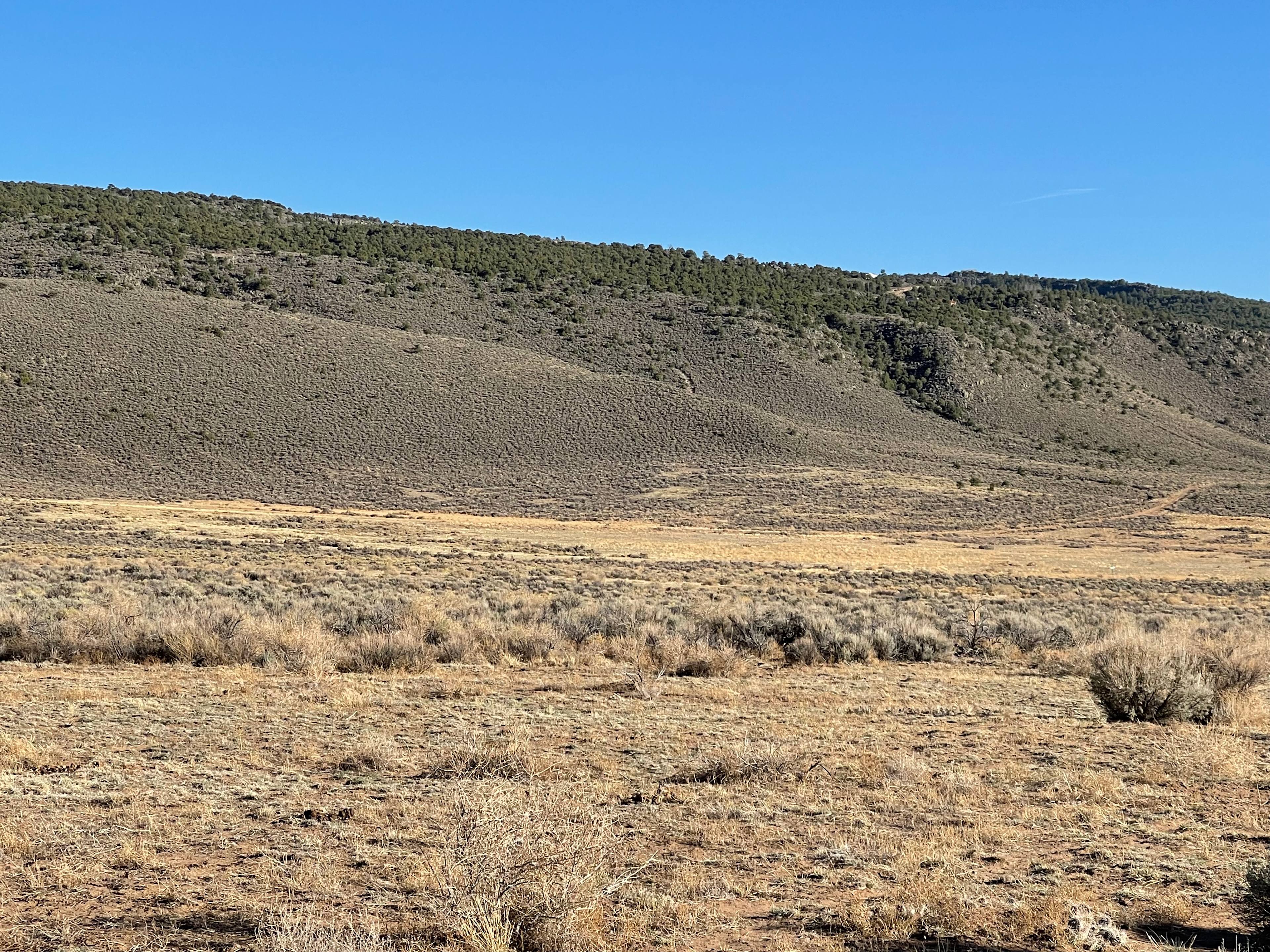 Wild Horse Mesa Camp Grounds