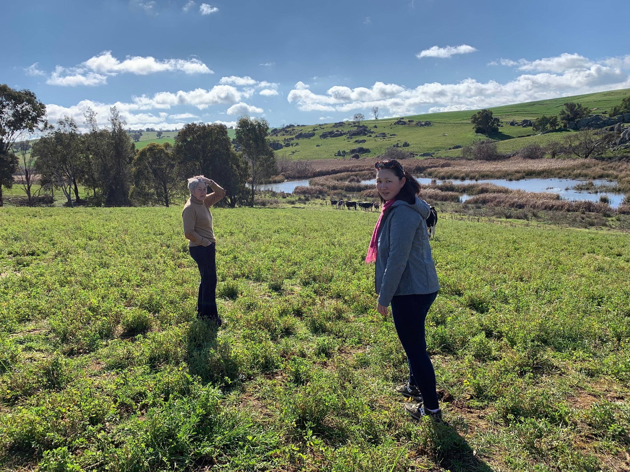 Walk to view wildlife