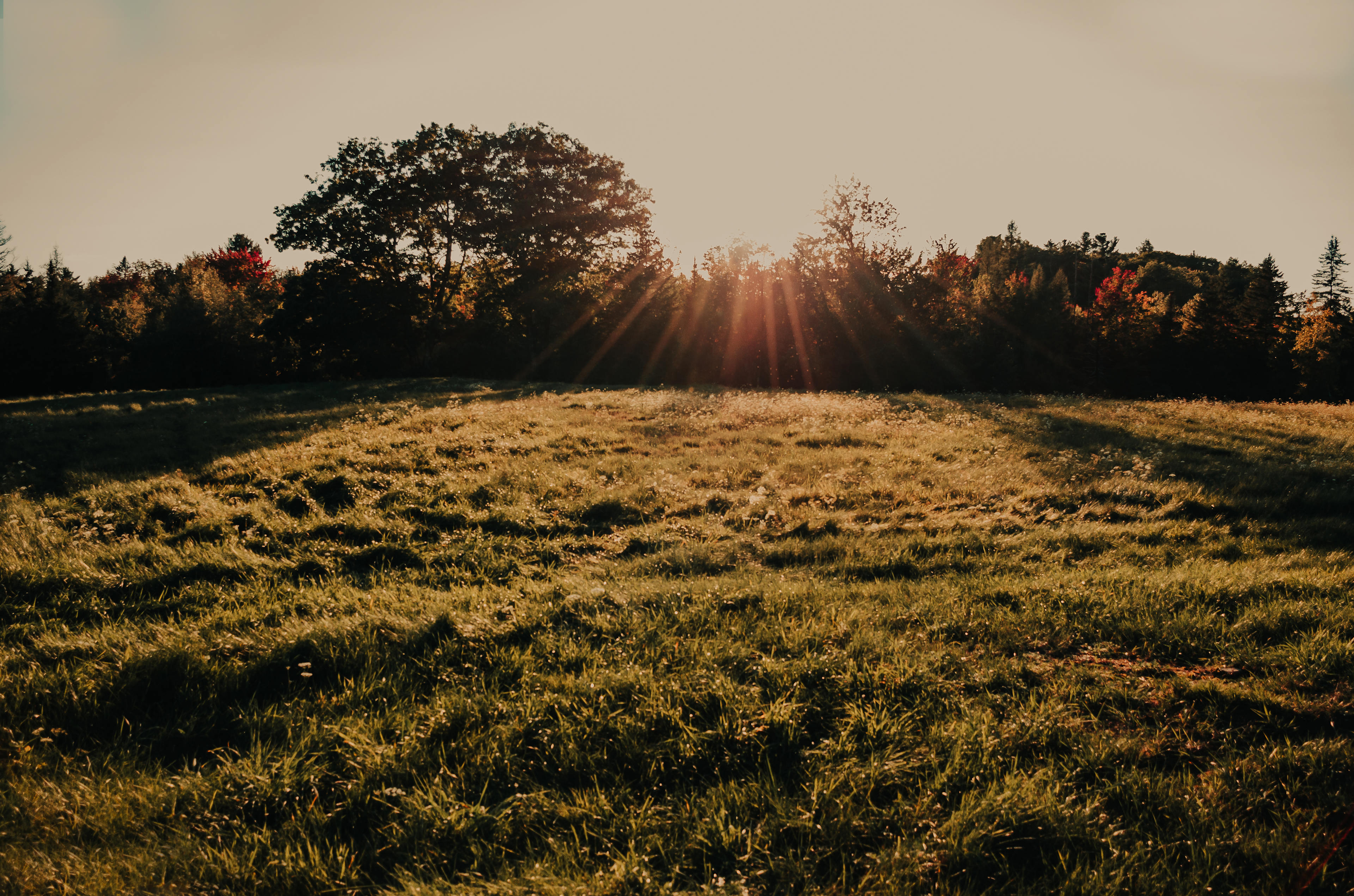 Randall Farm, Field of Dreams