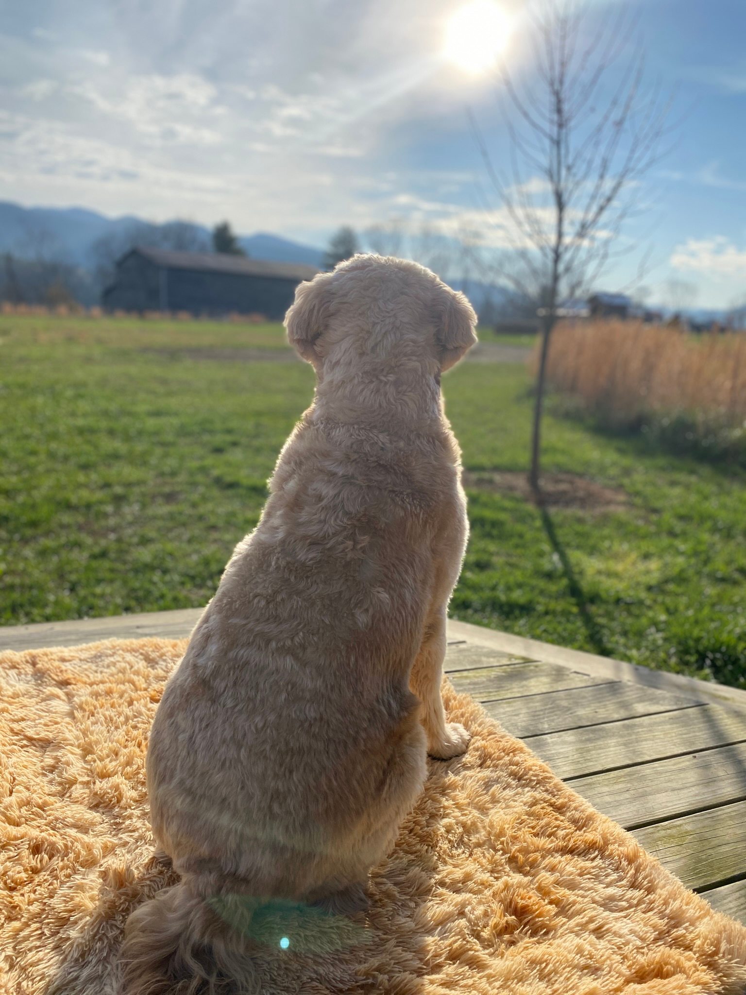 Paint Rock Farm Glamping