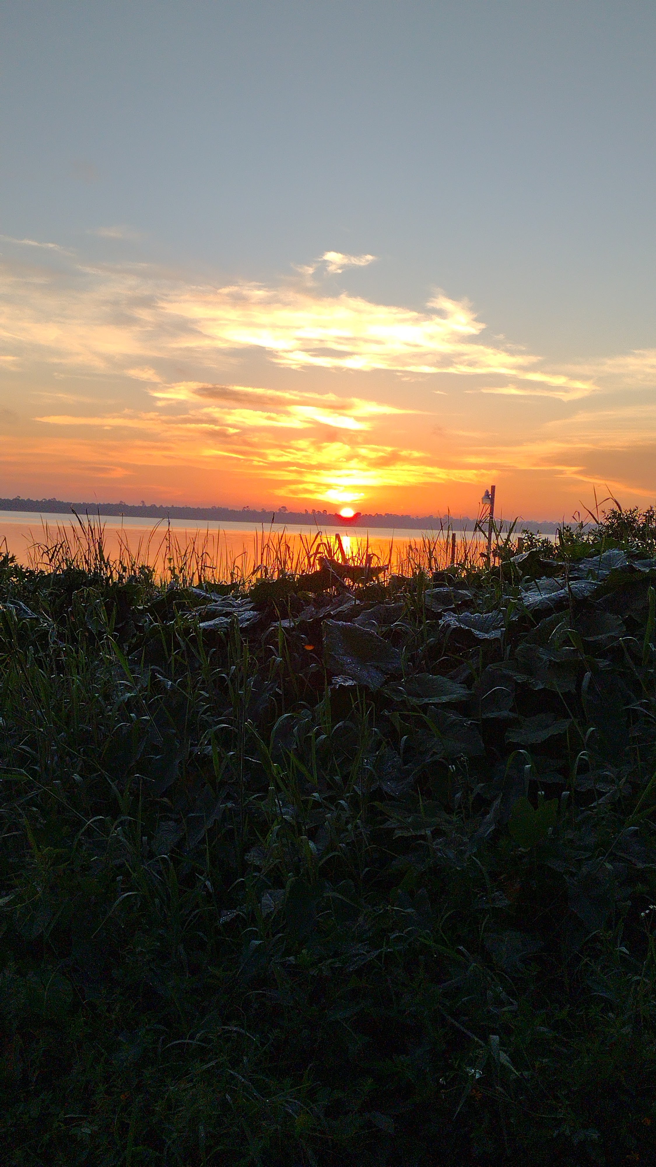 EJ's FunkyFamily FishCamp&FunnyFarm