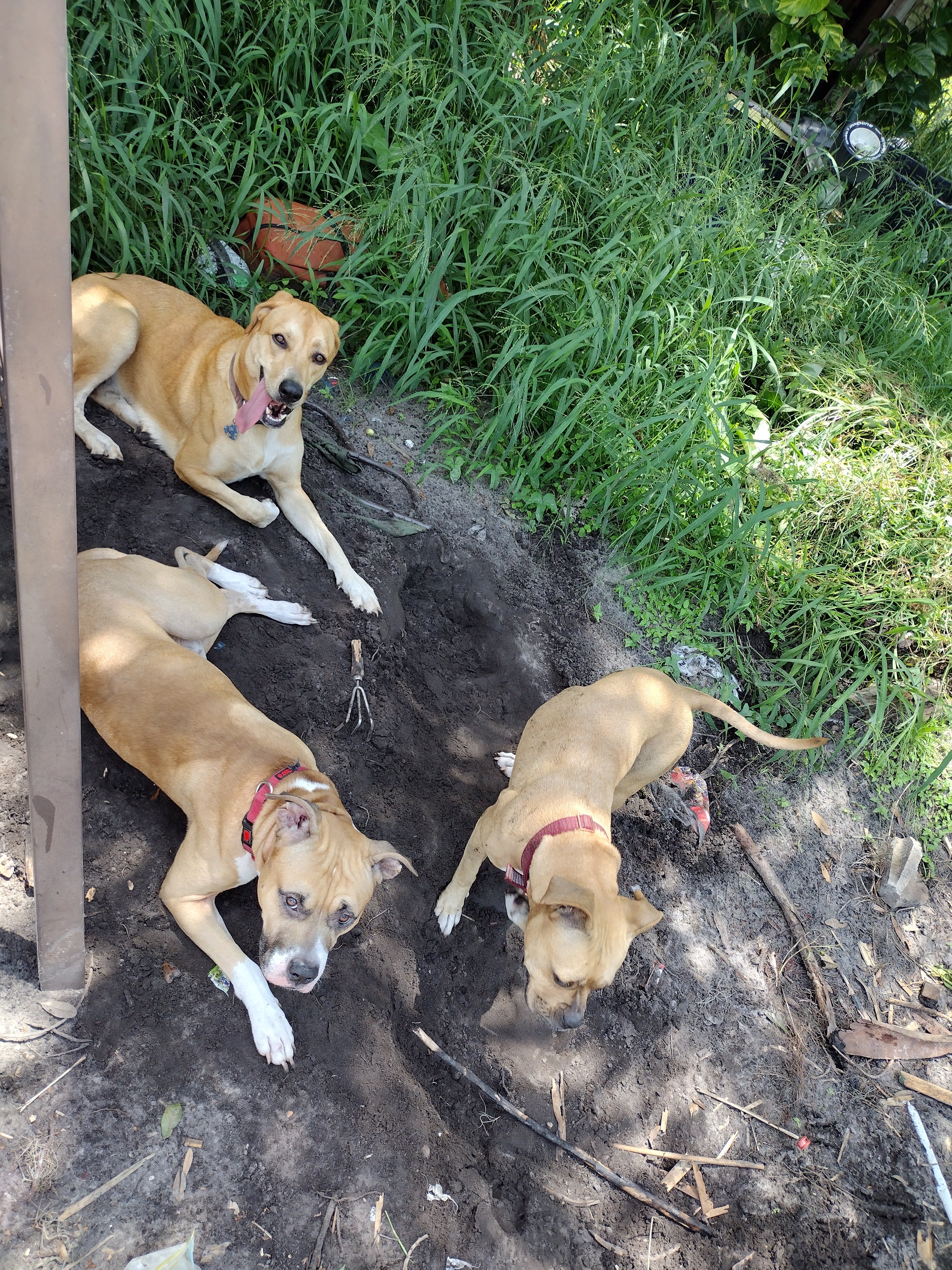 EJ's FunkyFamily FishCamp&FunnyFarm