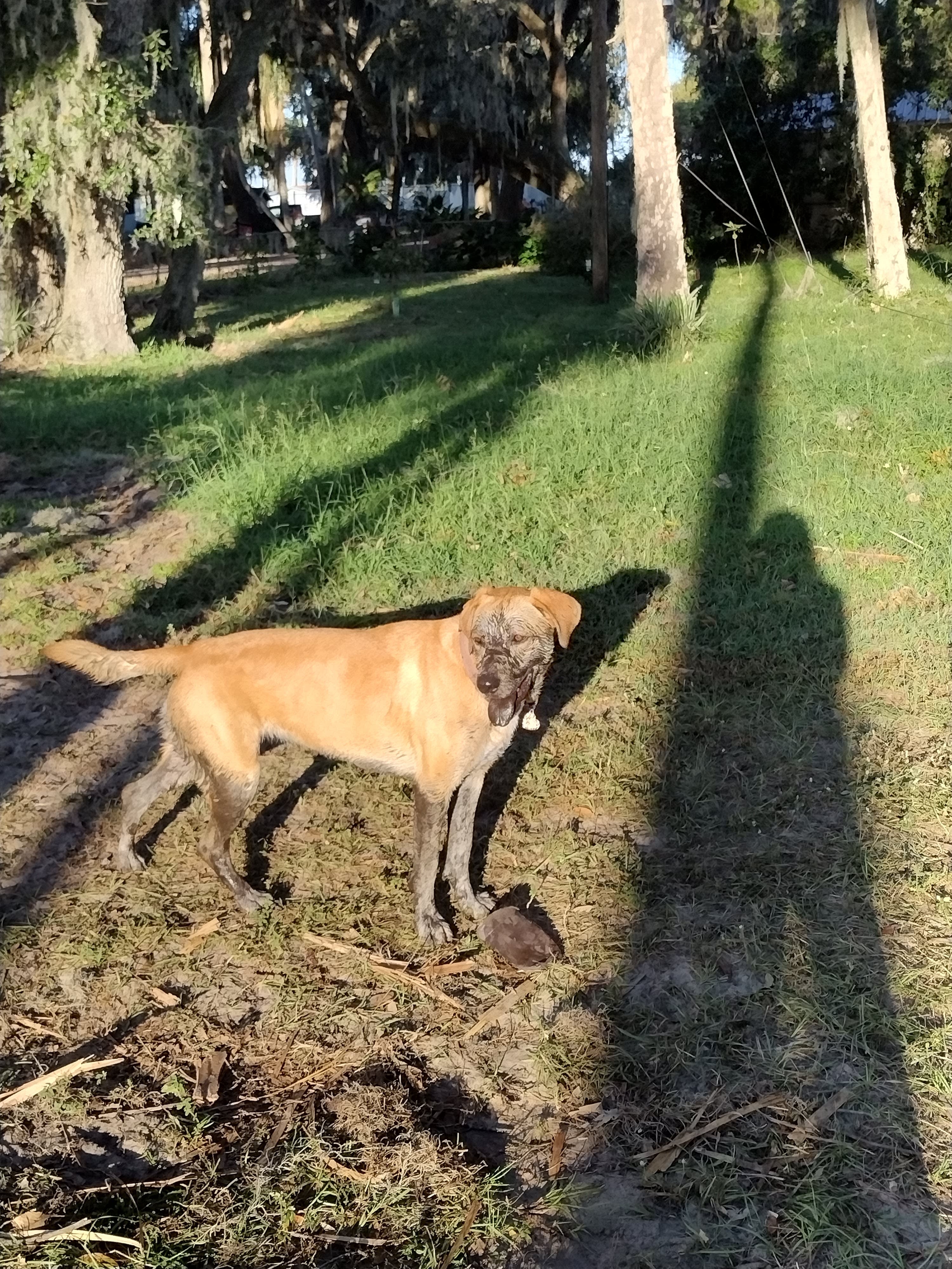 Bellew family fish camp