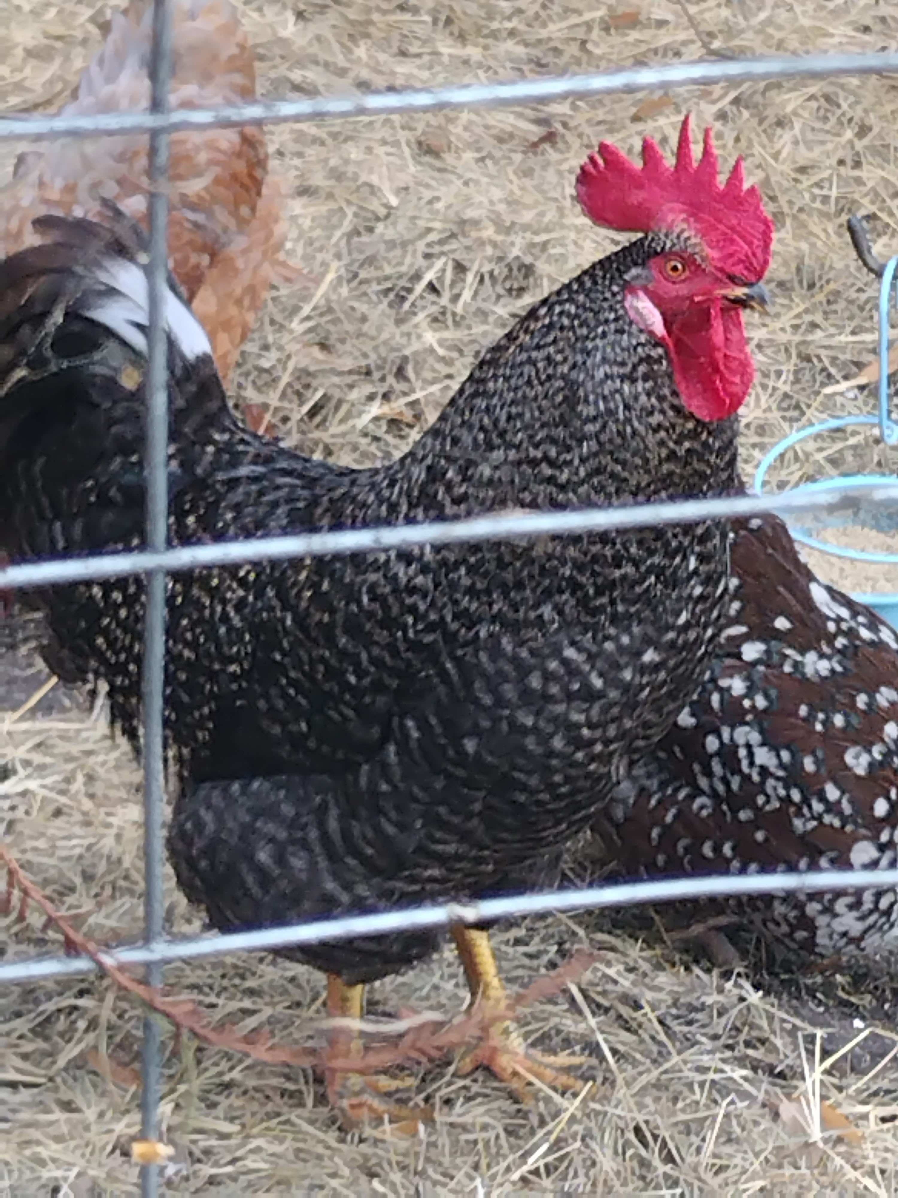 EJ's FunkyFamily FishCamp&FunnyFarm