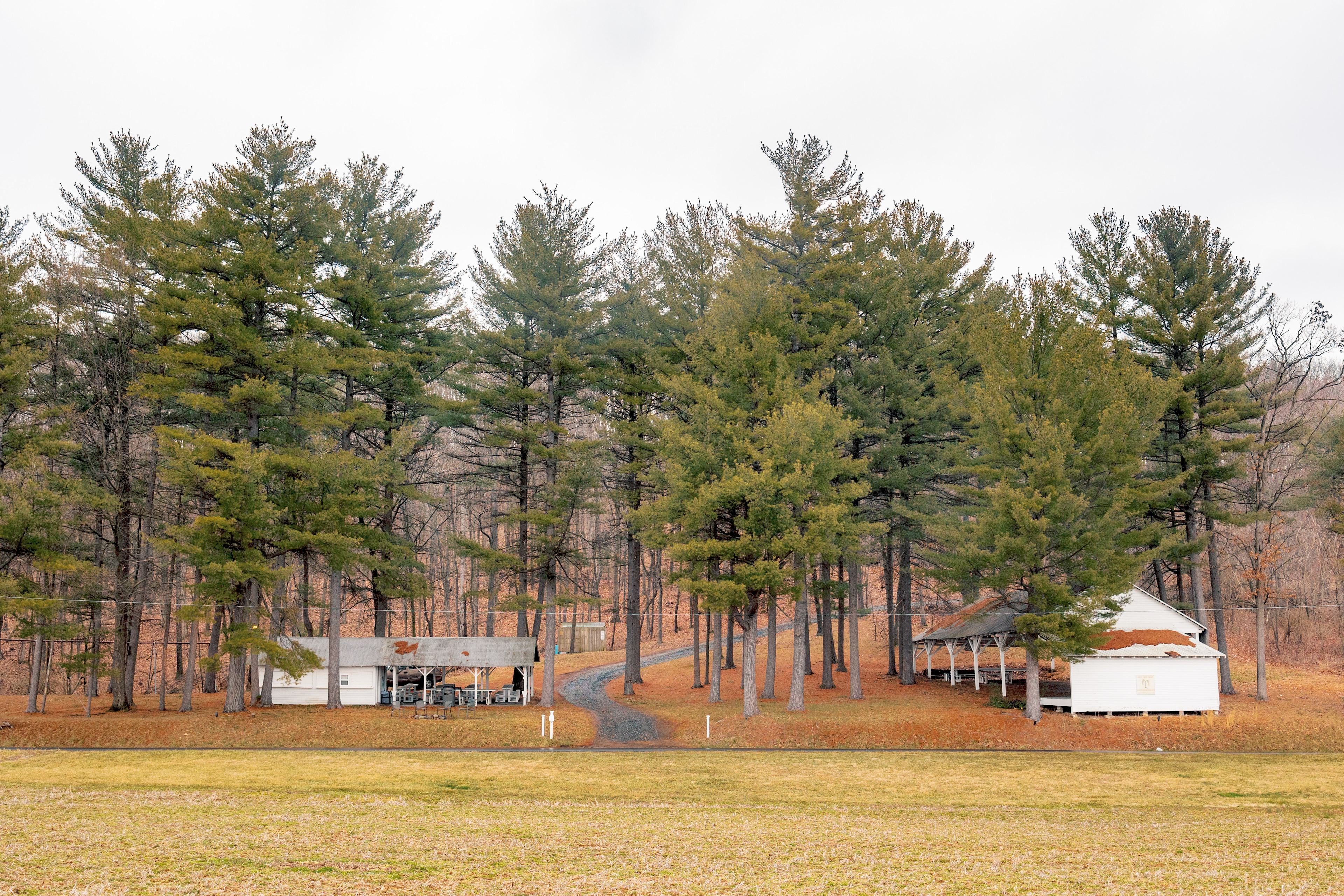 The main cabin and pavilion 