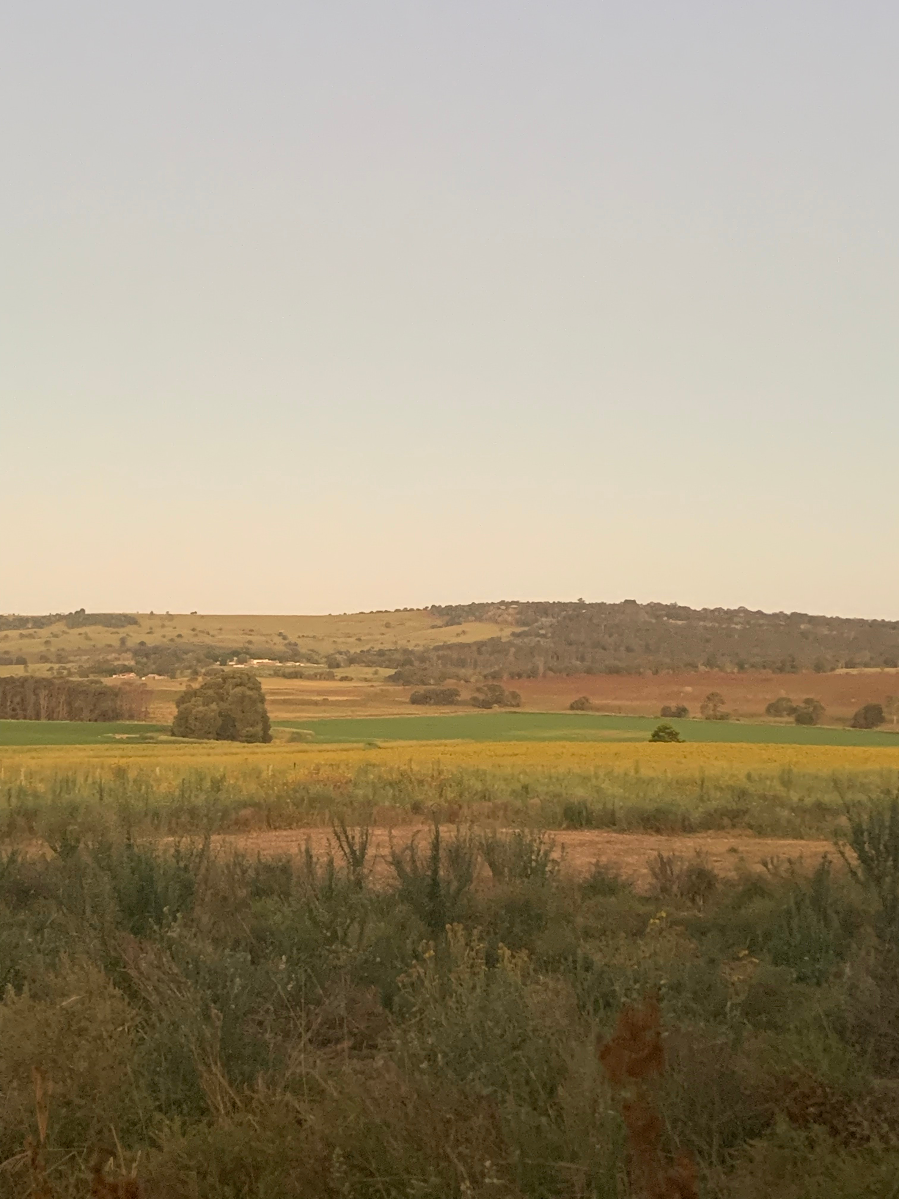 Bottle Tree Farm Studio and Camping