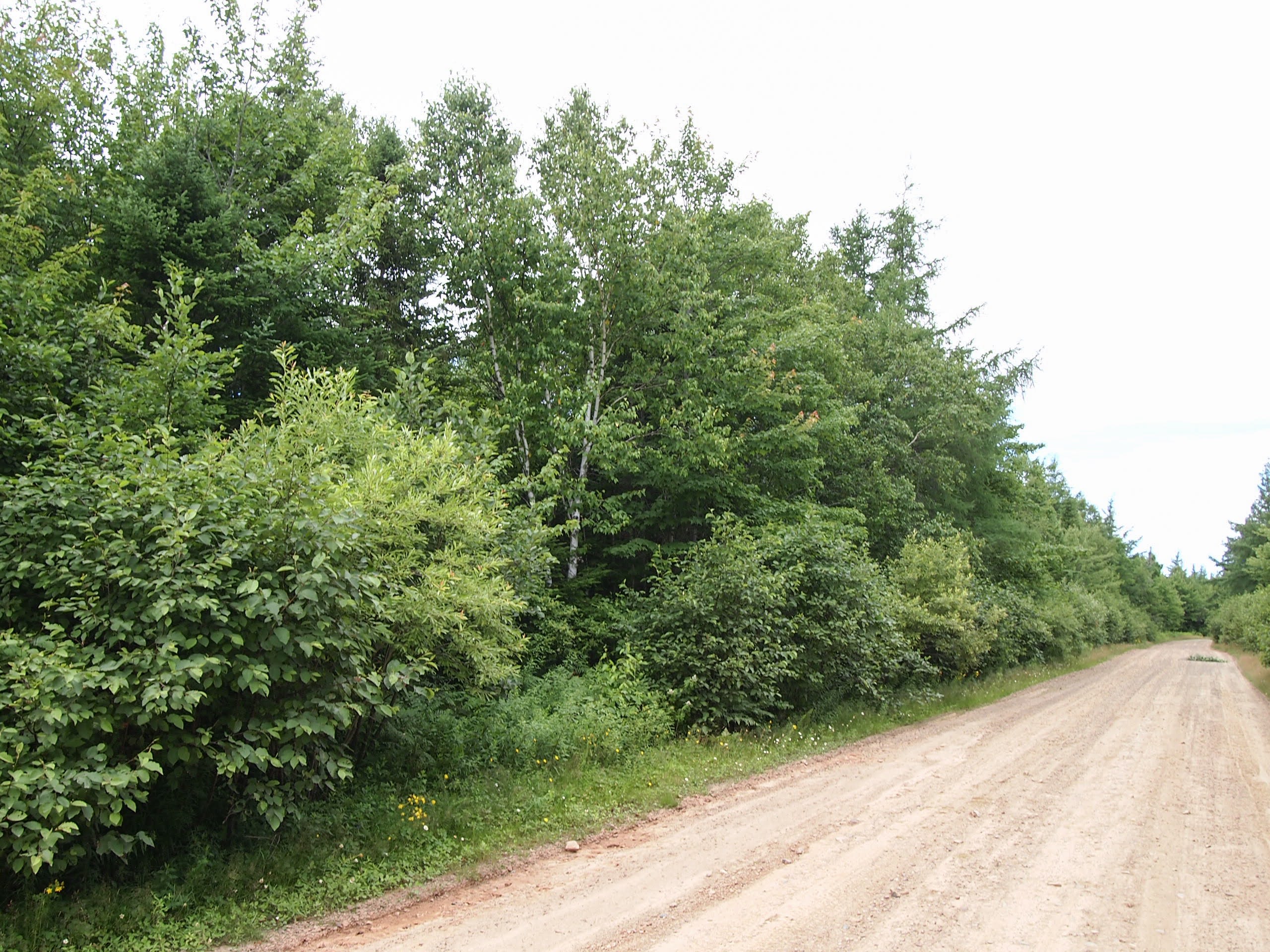 Alpine Ridge Off-Grid Getaway