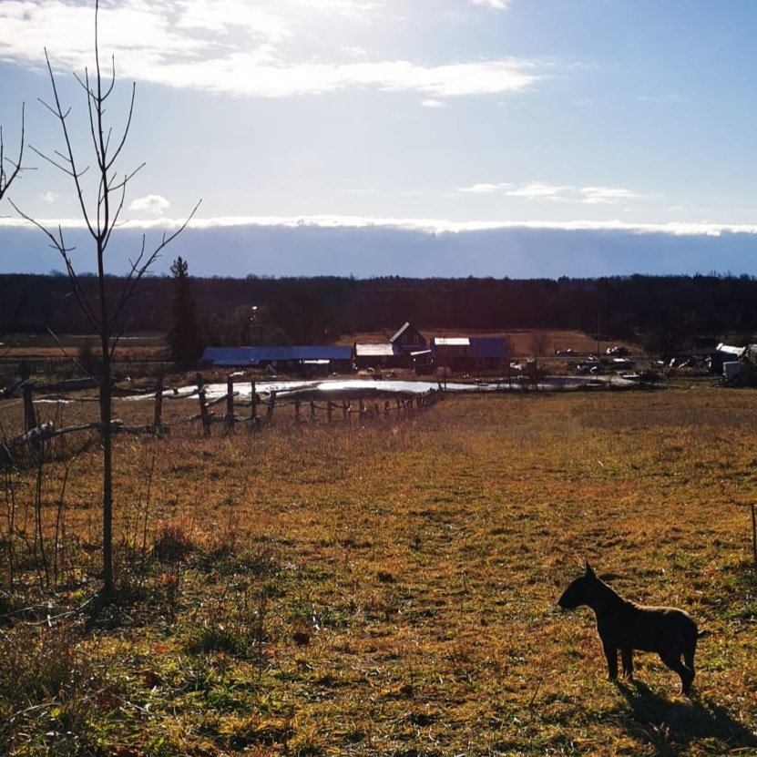 The meditation project