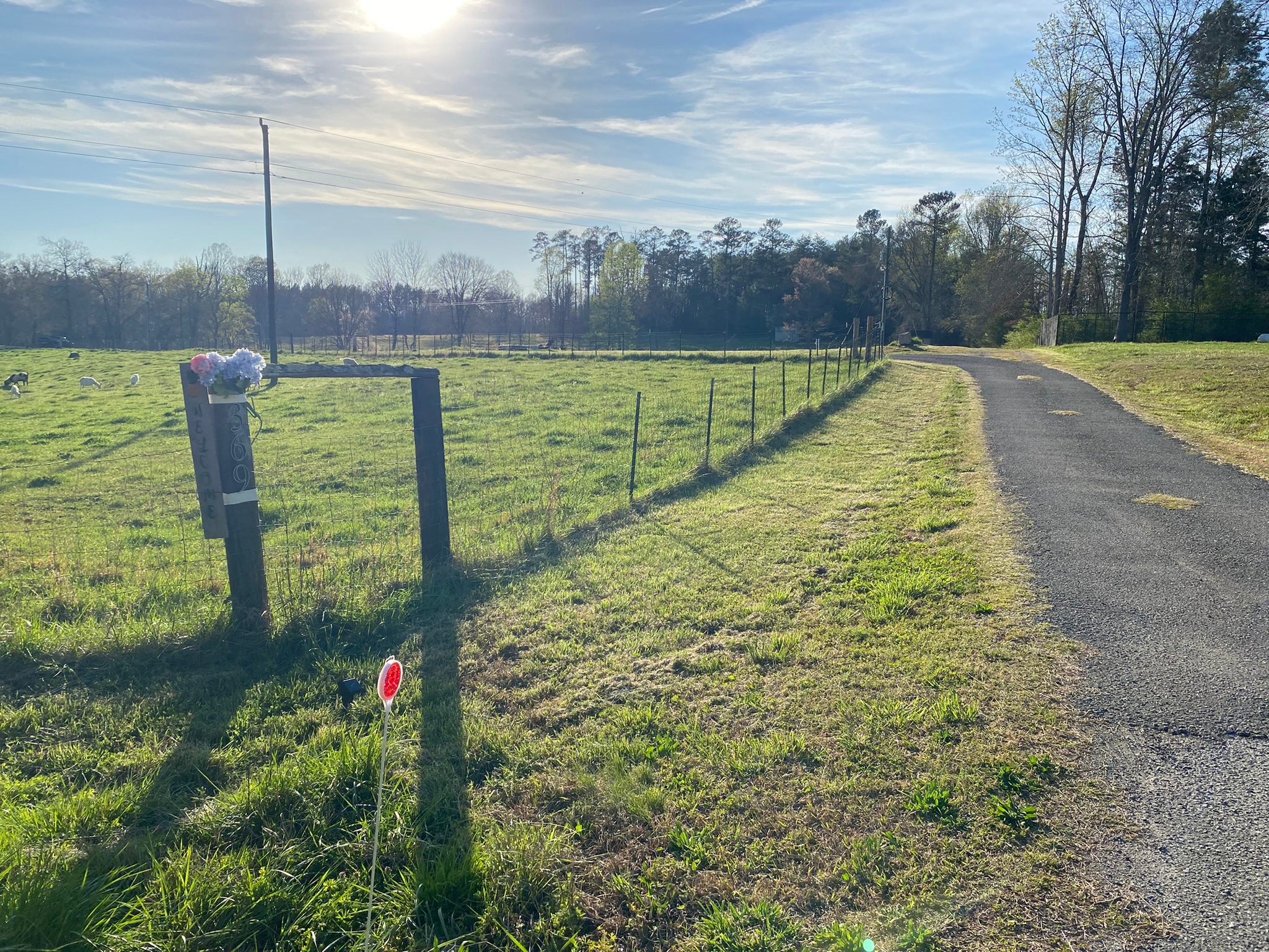 Another view of driveway